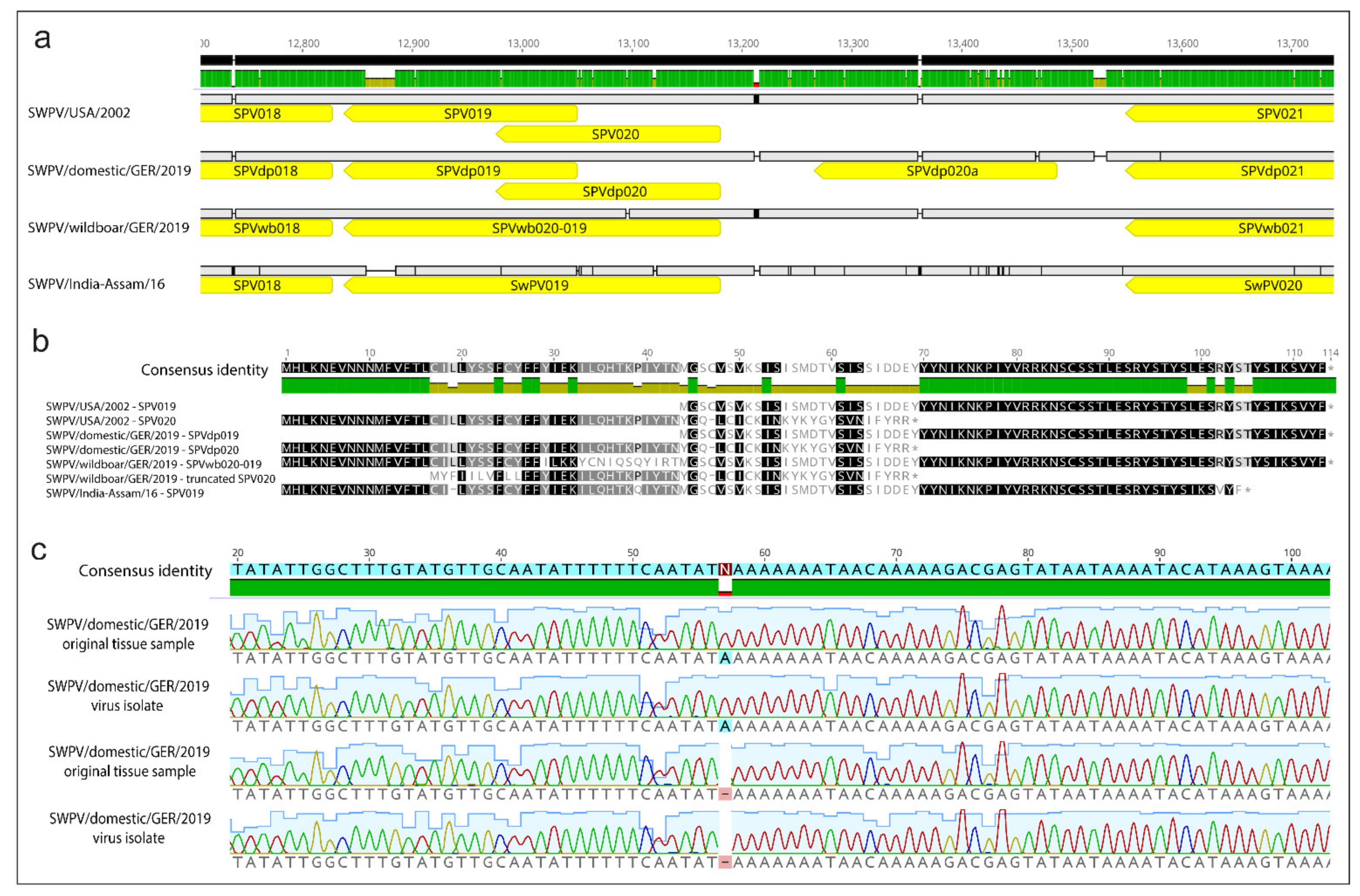Viruses 13 02038 g004