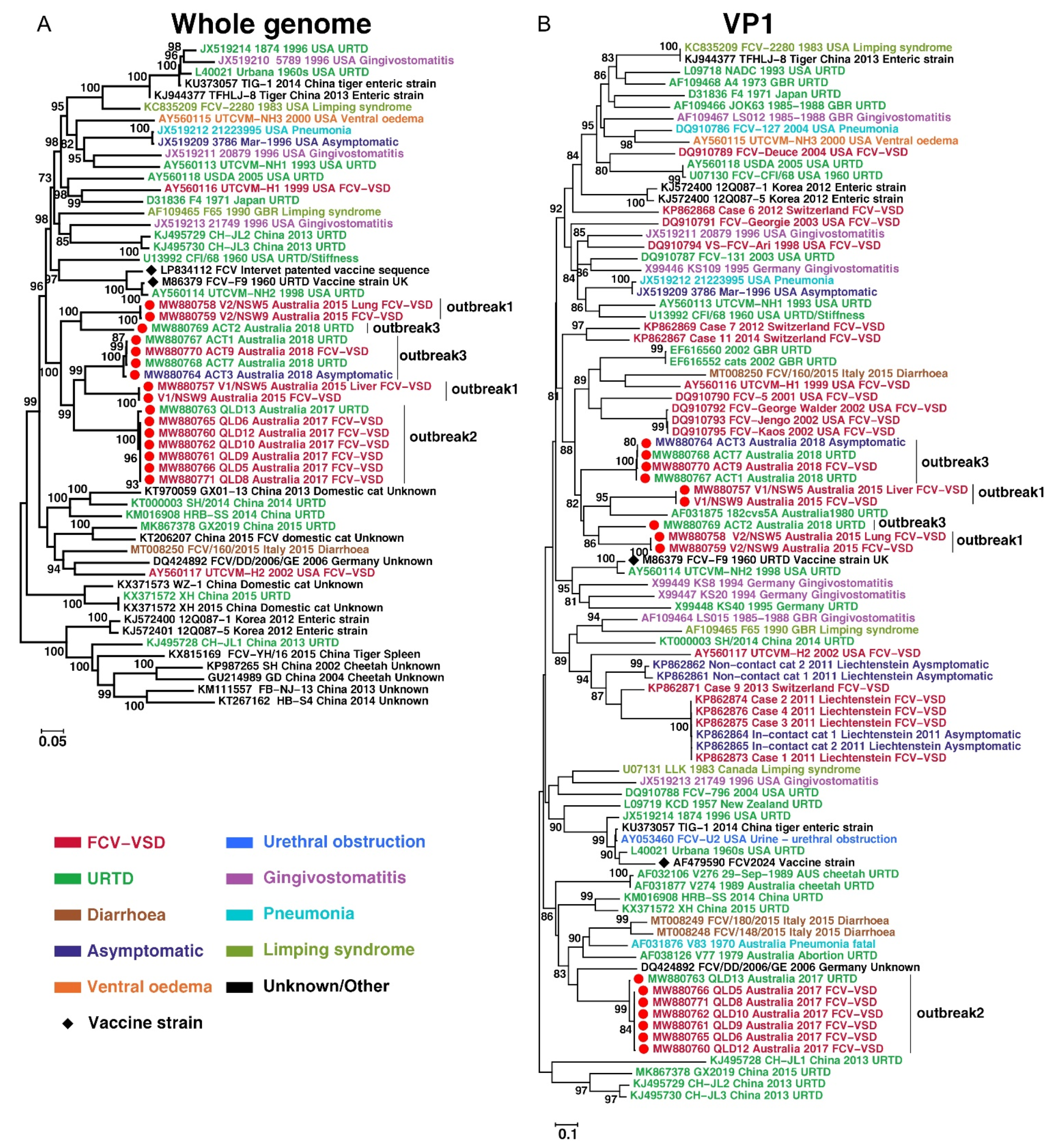 Viruses 13 02040 g001
