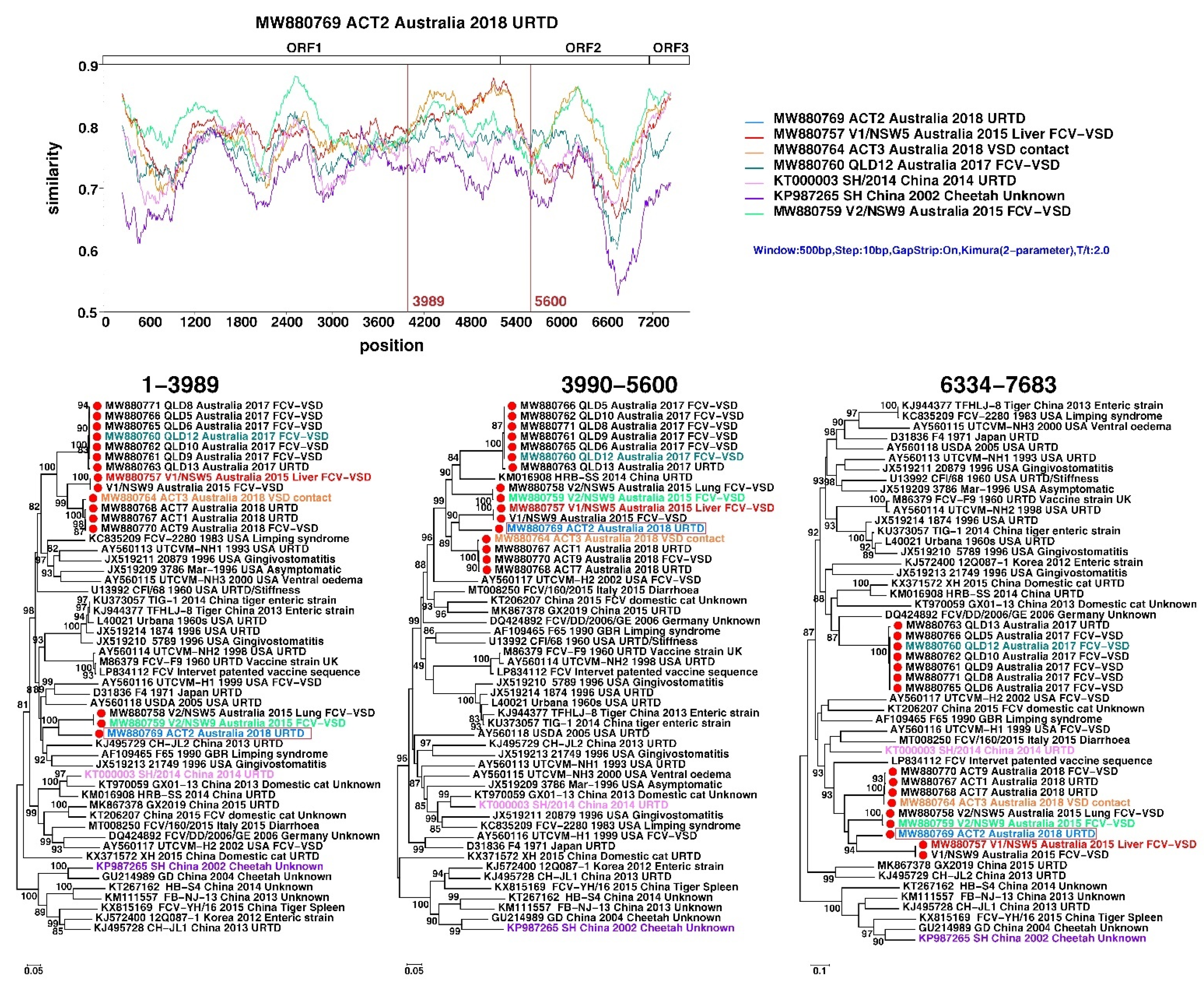 Viruses 13 02040 g003