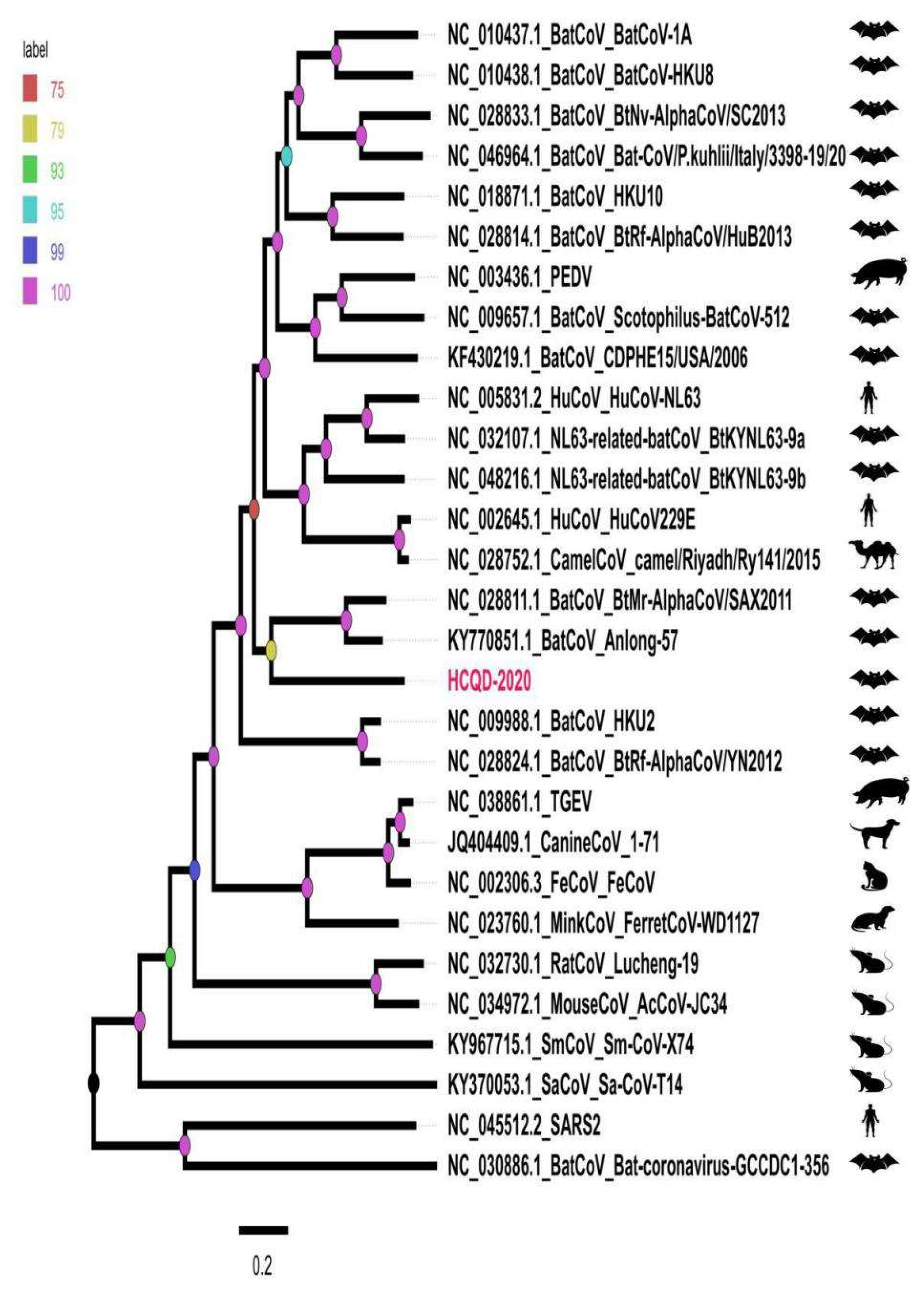 Viruses 13 02041 g004