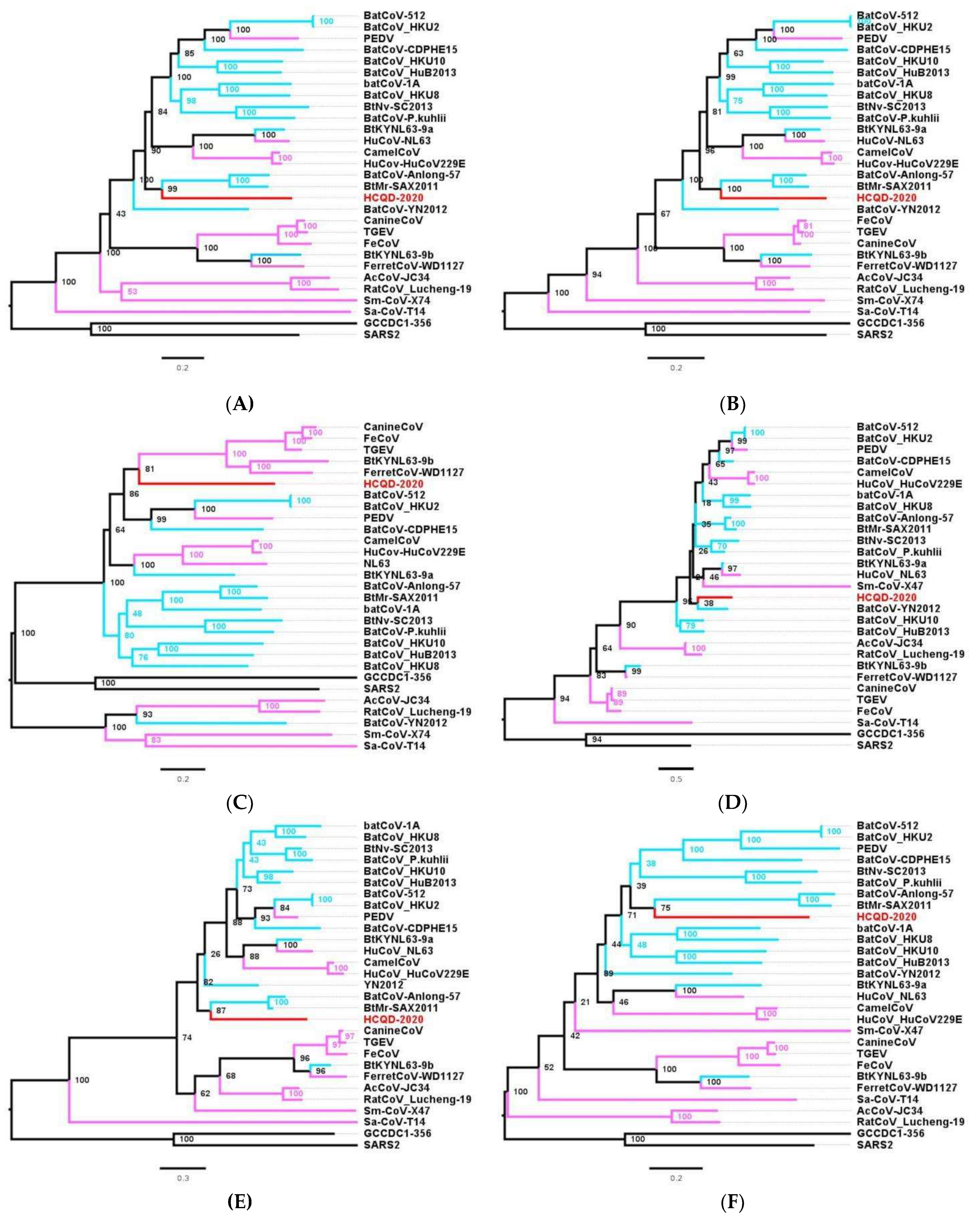 Viruses 13 02041 g005
