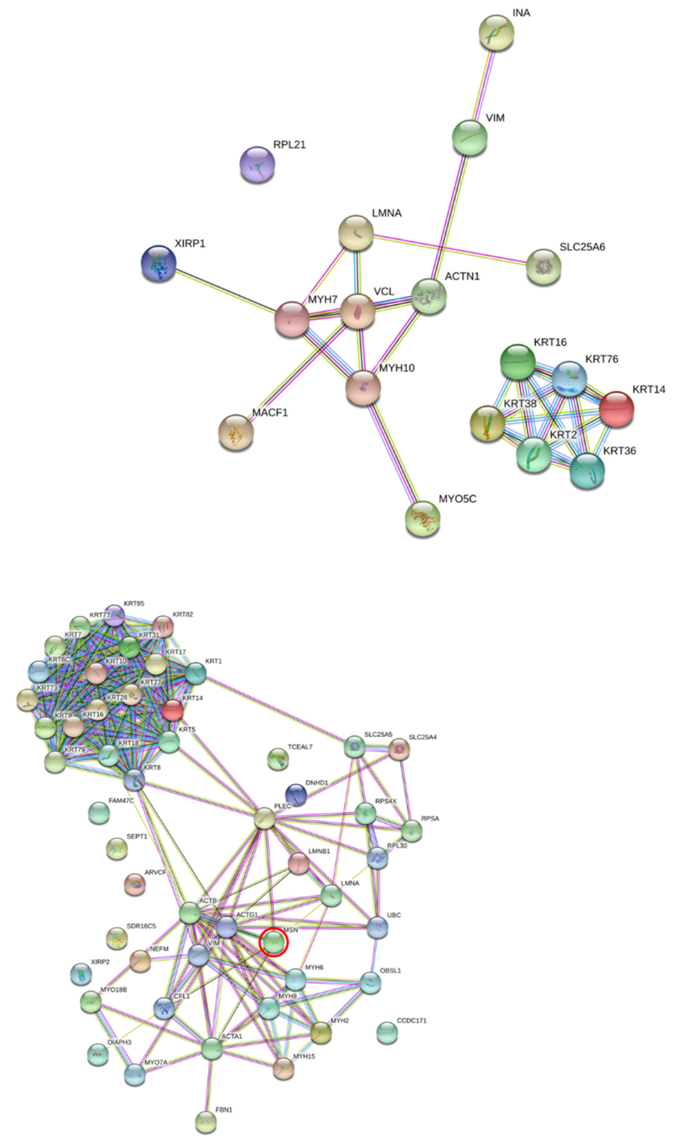 Viruses 13 02042 g001 550