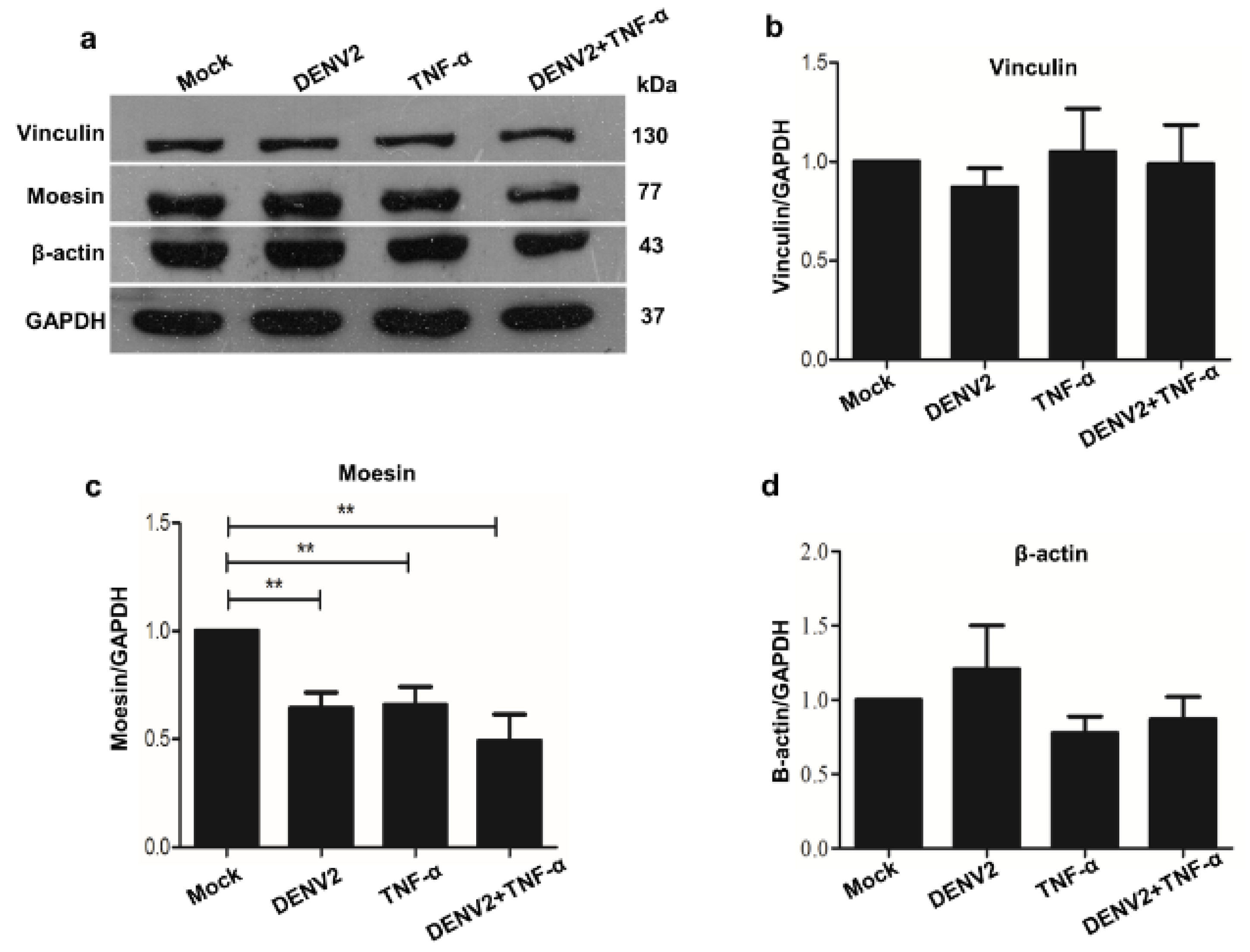 Viruses 13 02042 g002 550