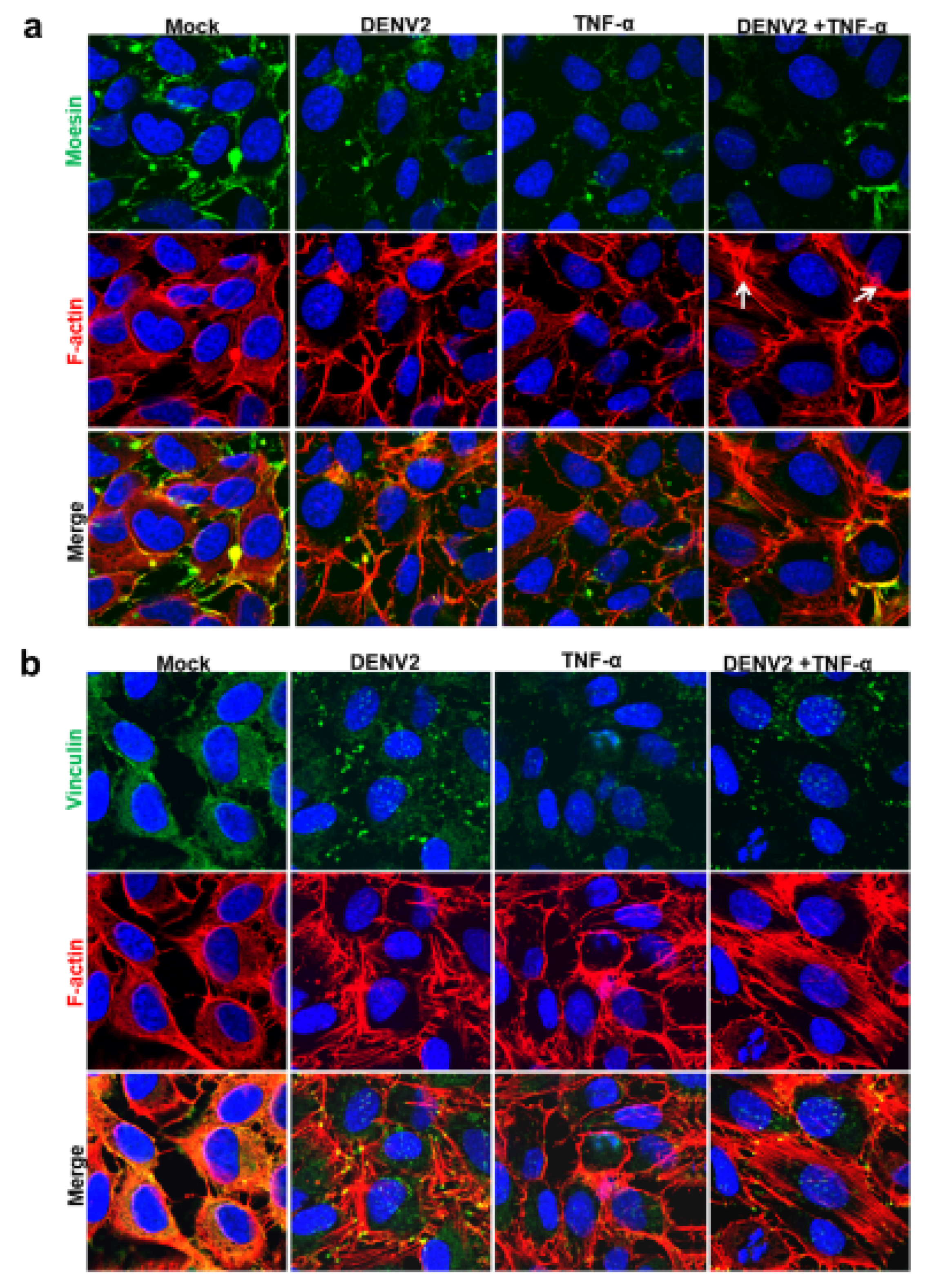 Viruses 13 02042 g003 550