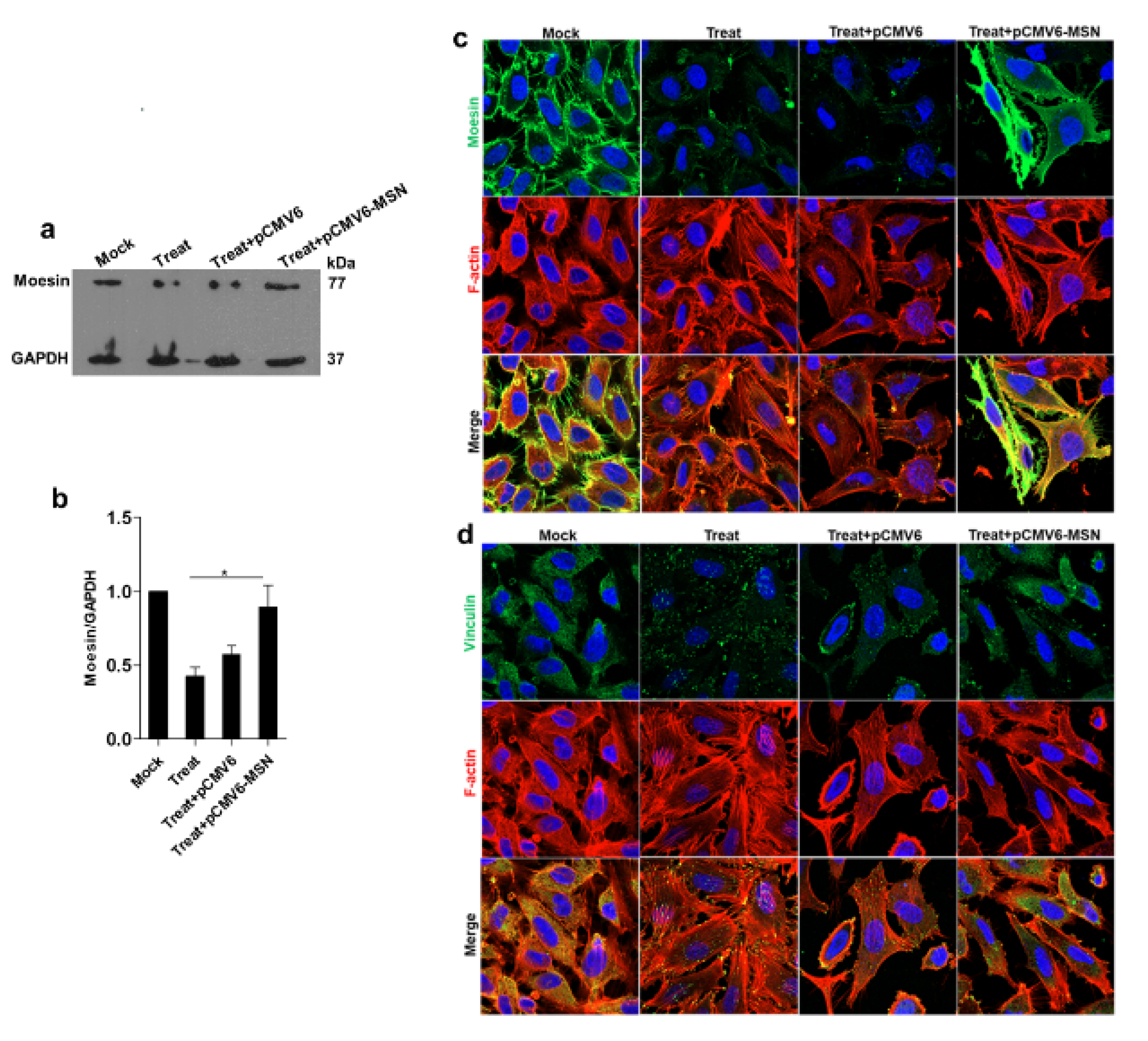 Viruses 13 02042 g005 550