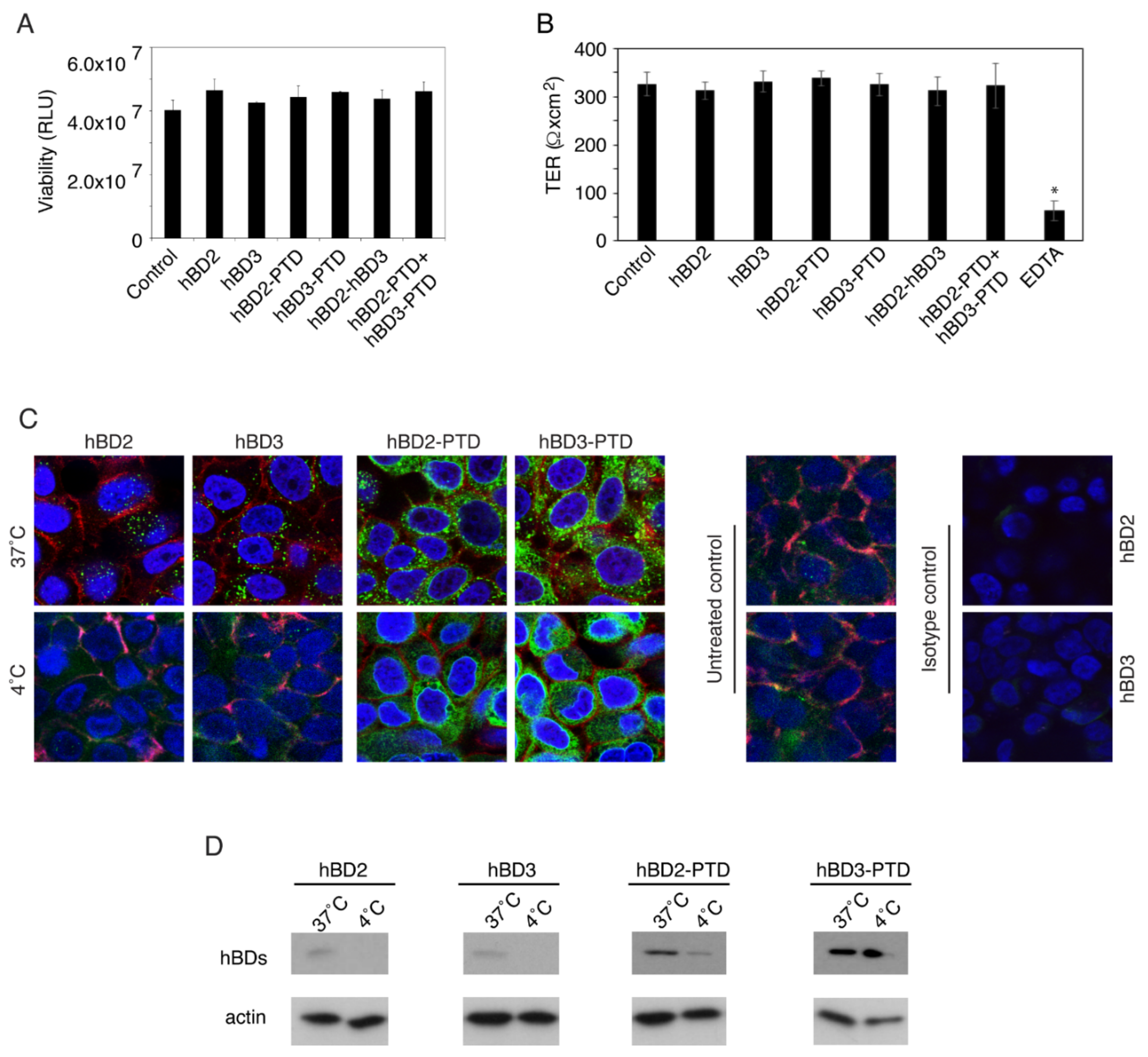 Viruses 13 02043 g001 550