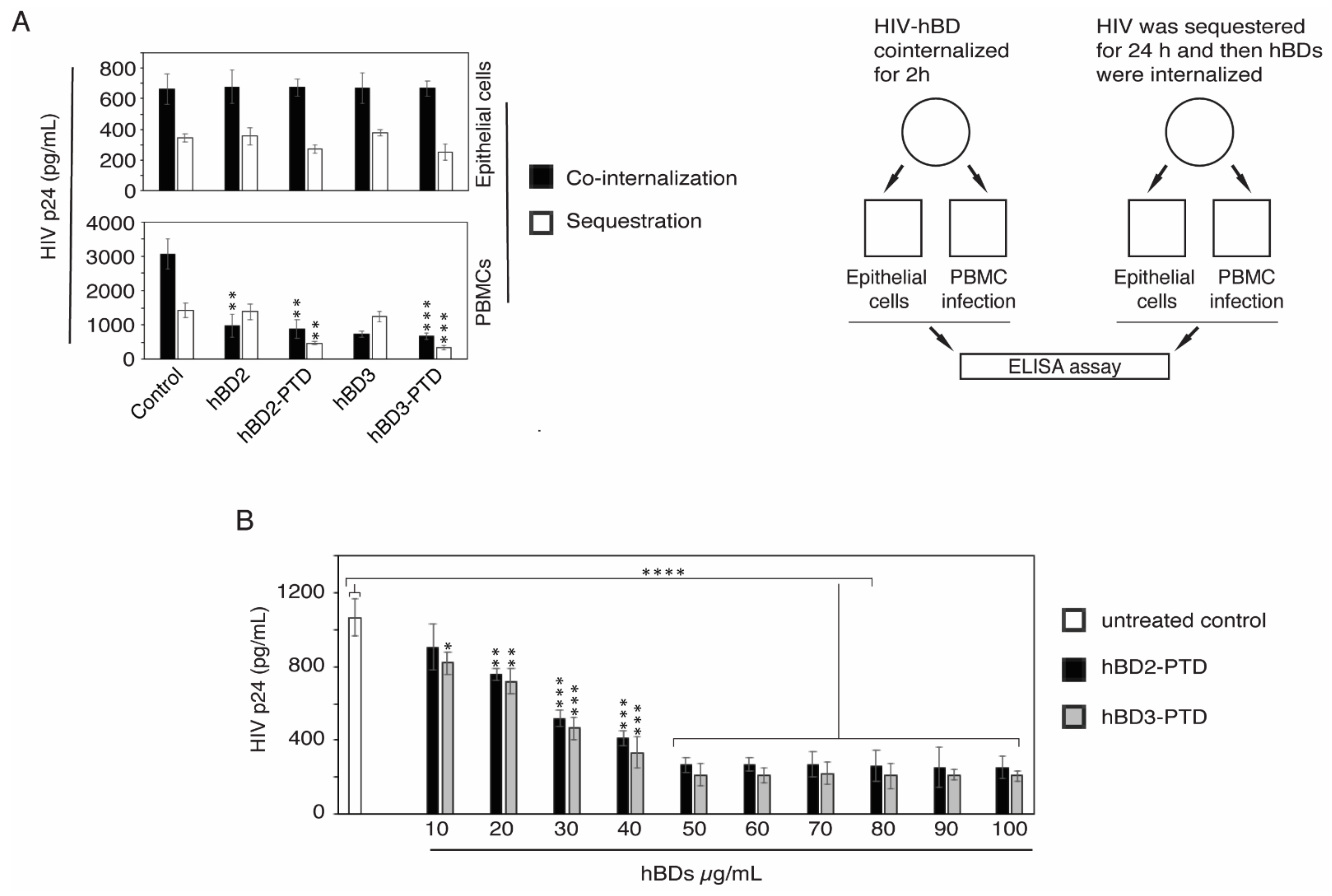 Viruses 13 02043 g002 550