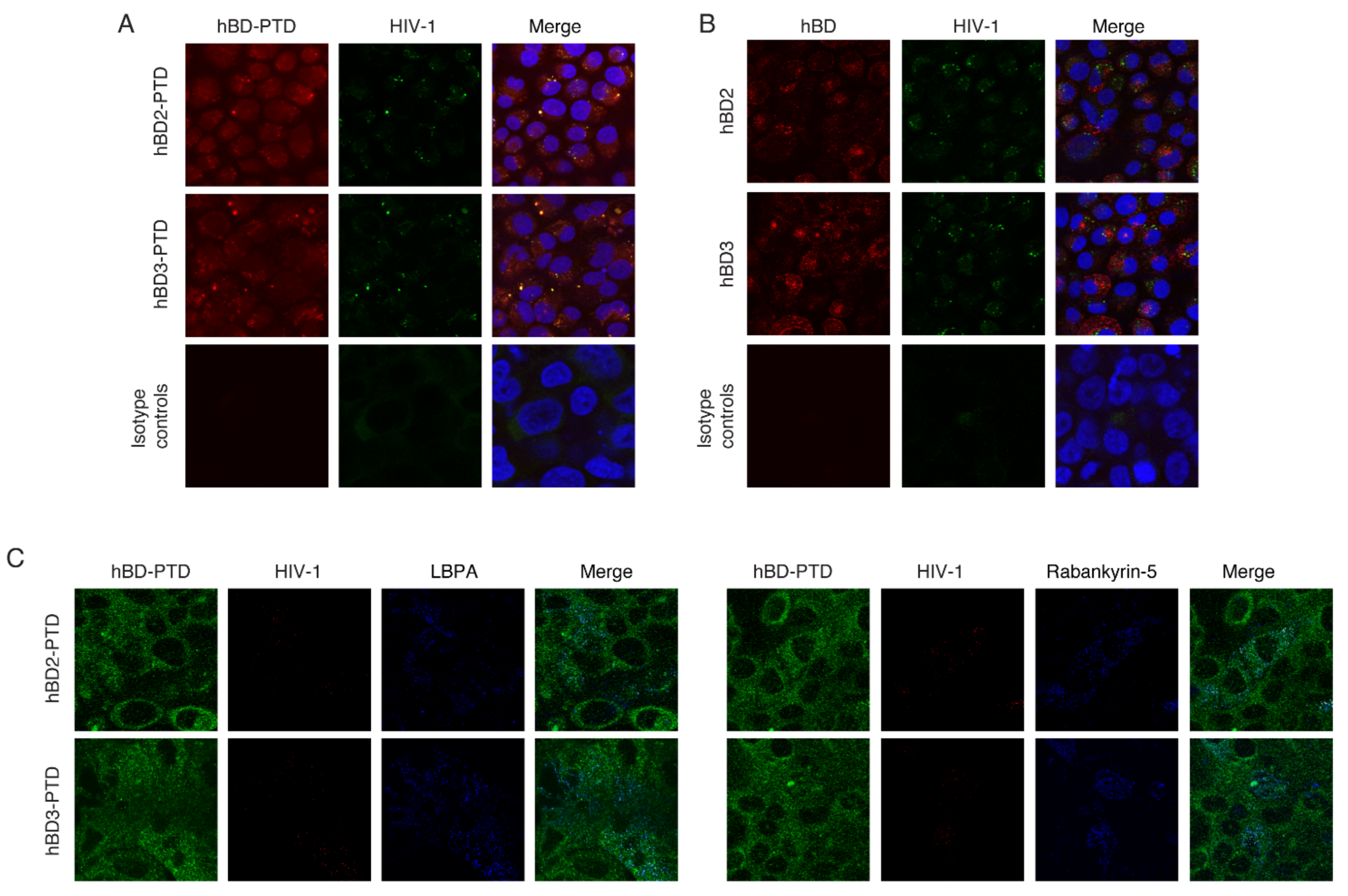 Viruses 13 02043 g004 550