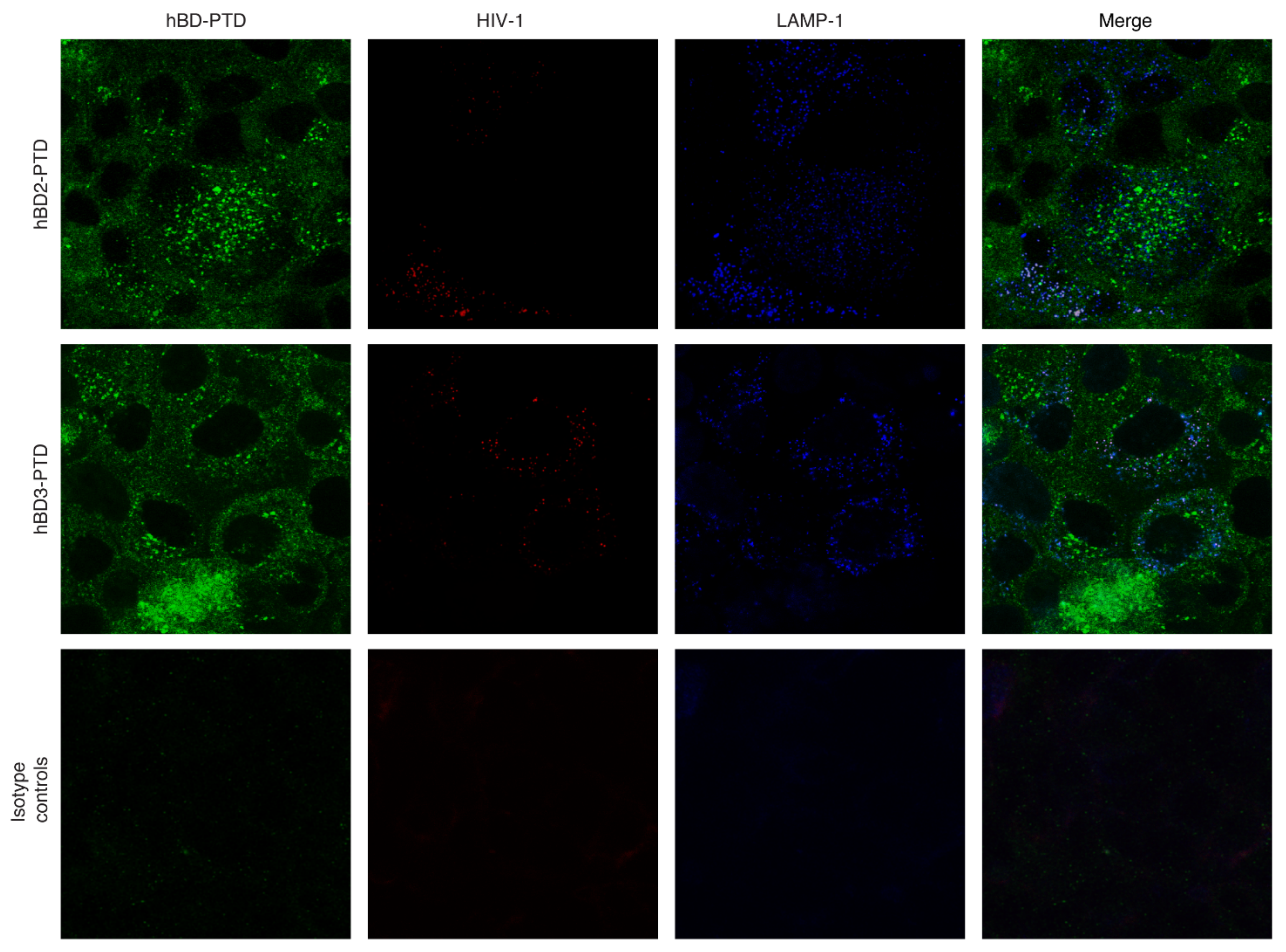 Viruses 13 02043 g006 550