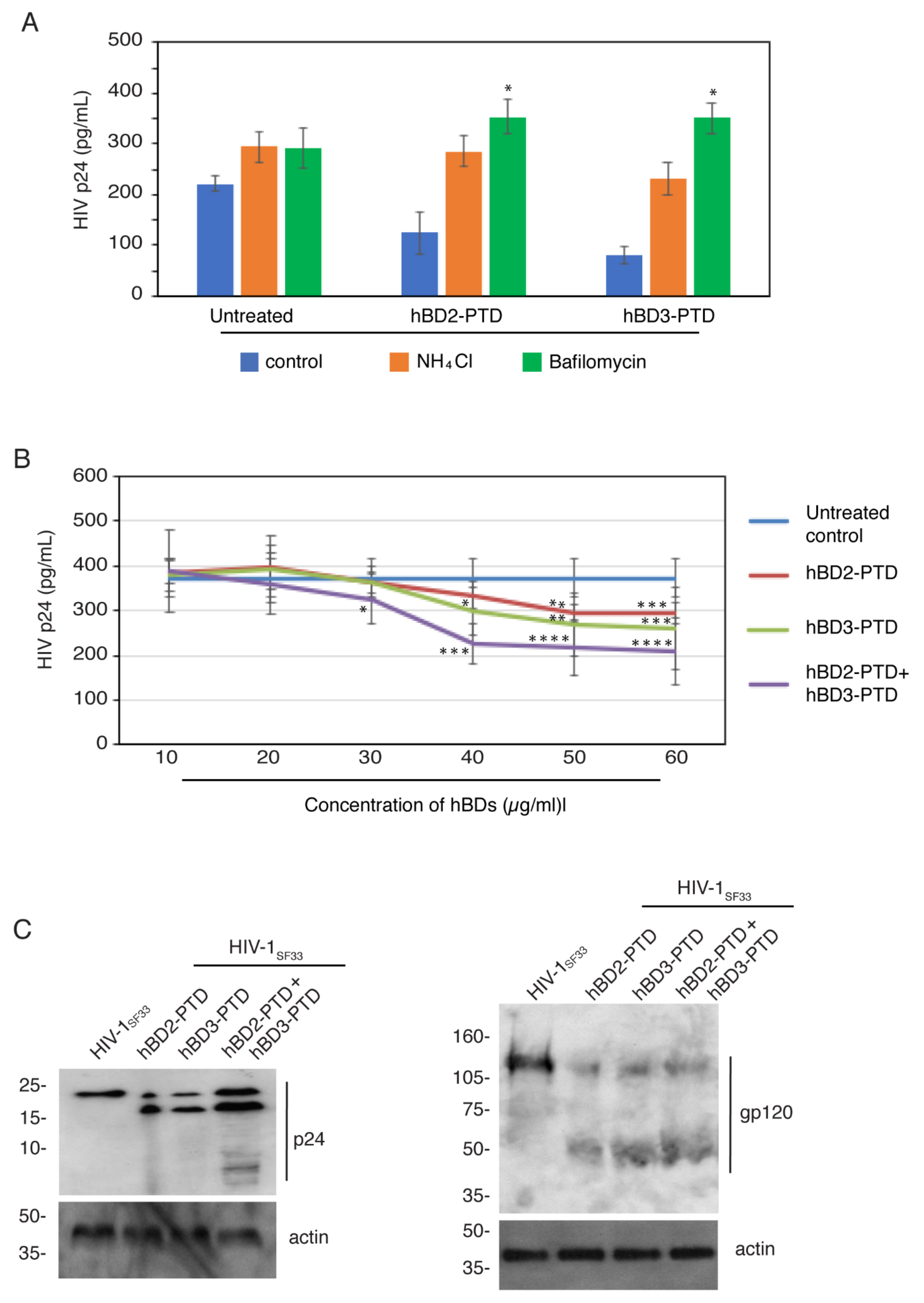 Viruses 13 02043 g007 550