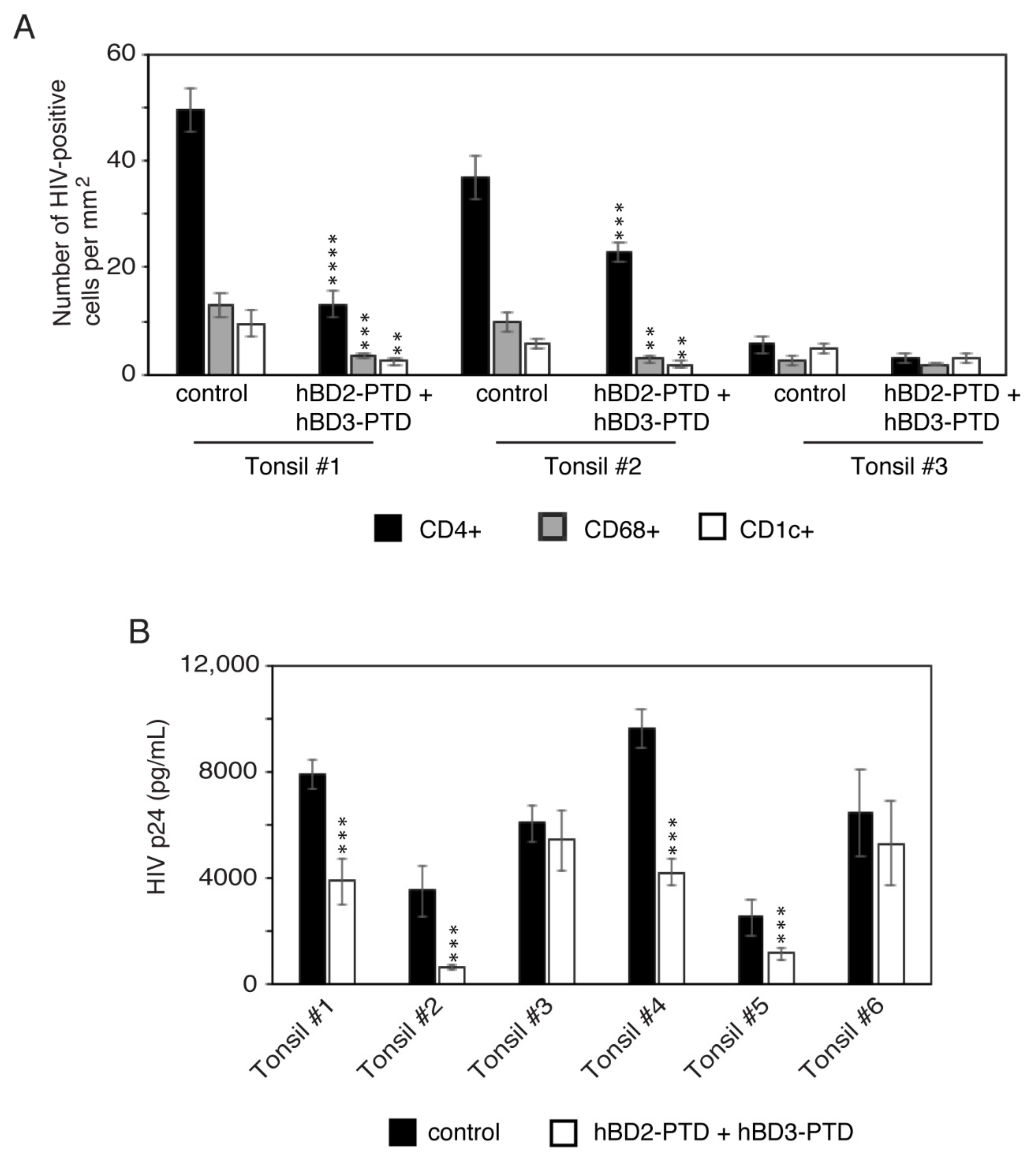 Viruses 13 02043 g011 550