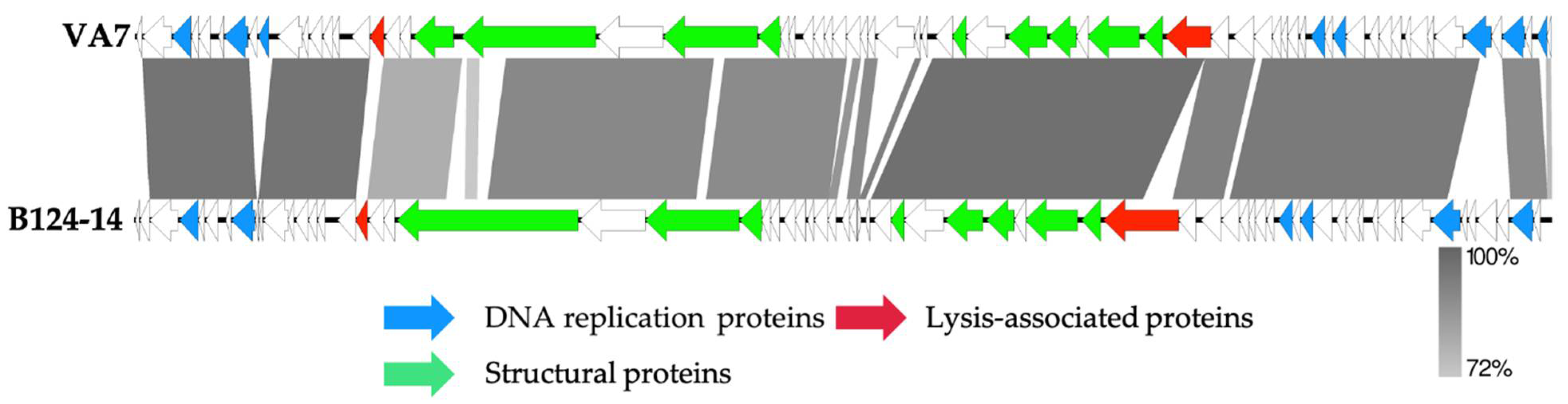 Viruses 13 02044 g003 550