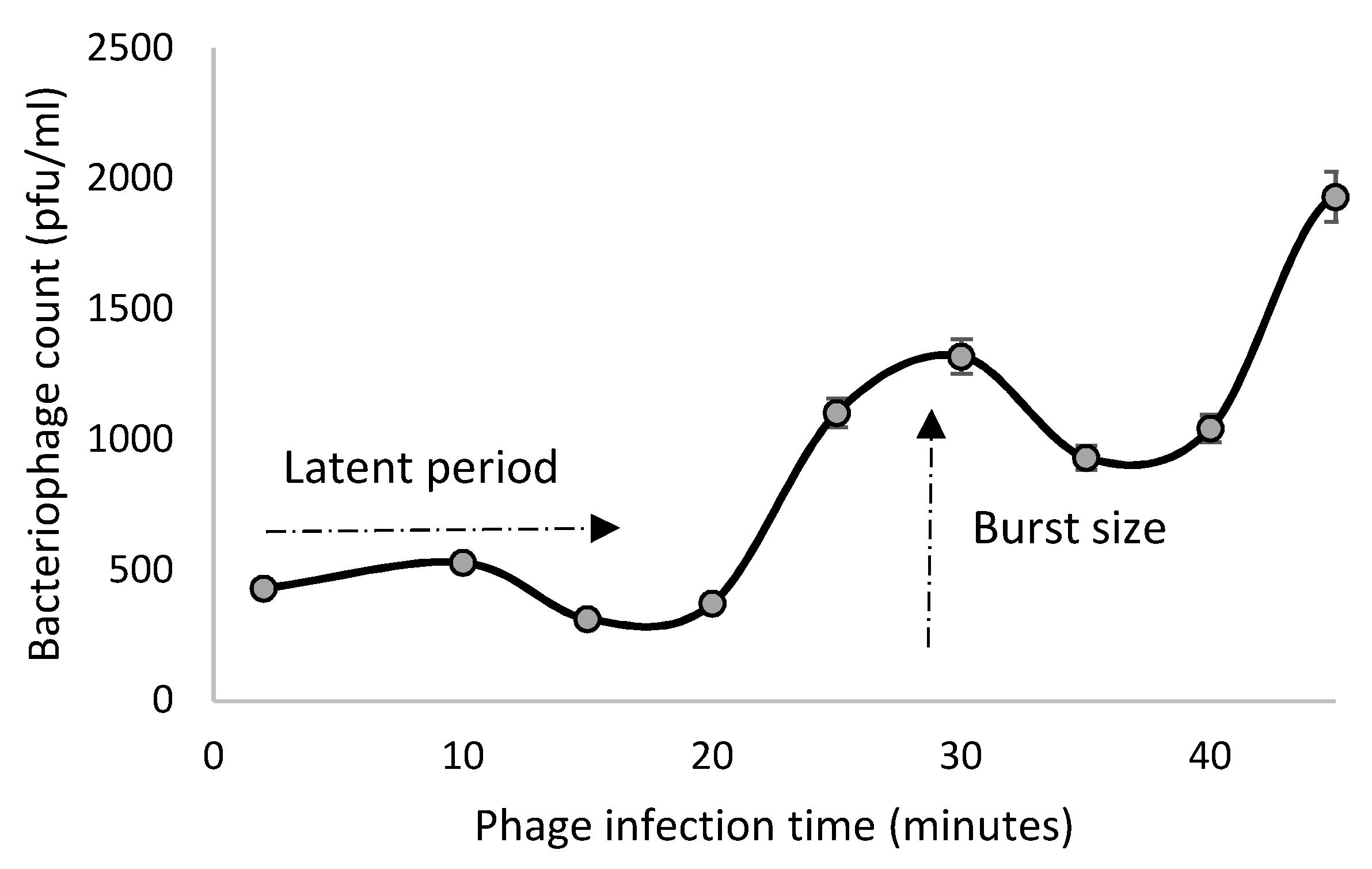 Viruses 13 02044 g004 550