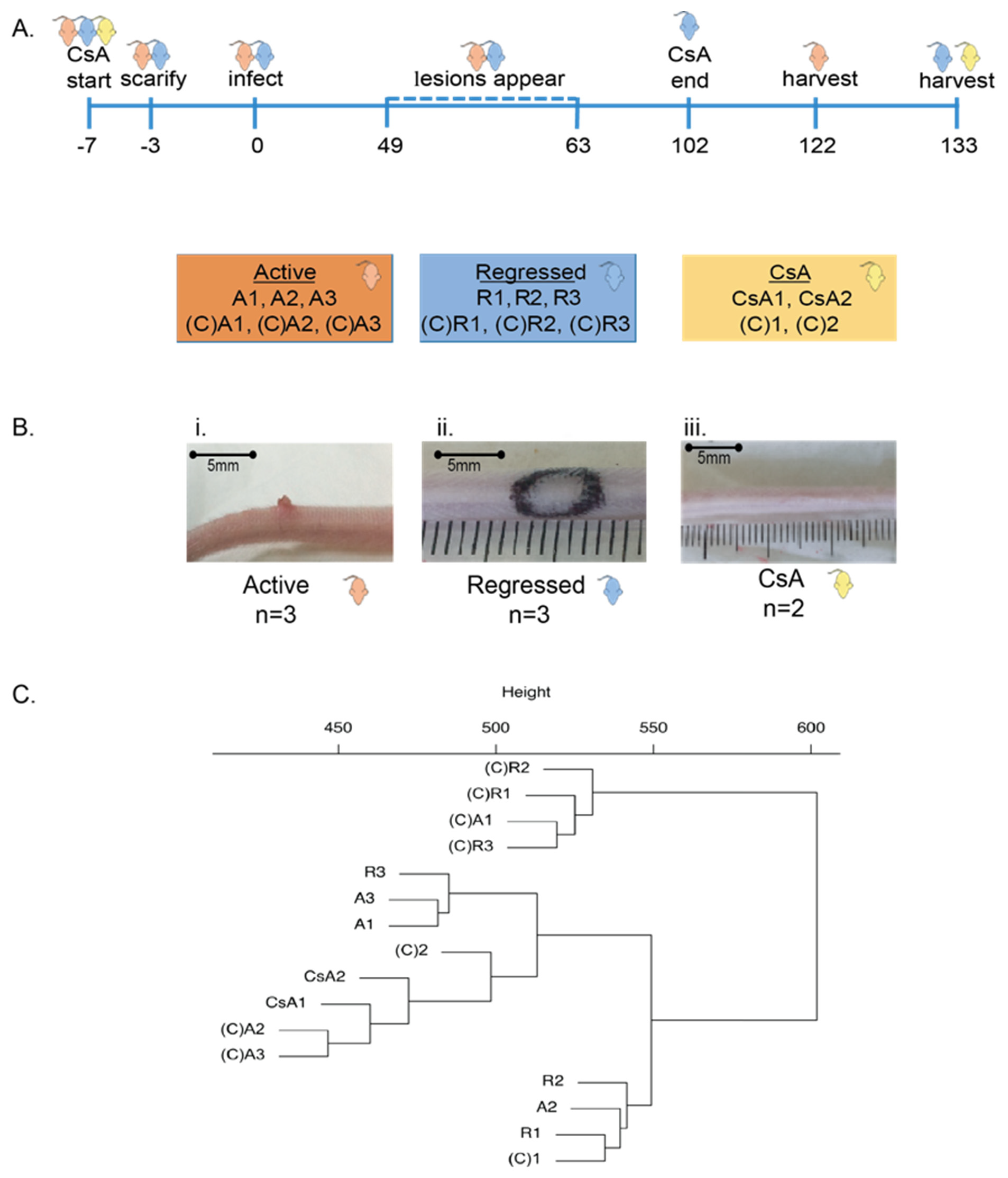 Viruses 13 02045 g001 Viruses 13 02045 g001