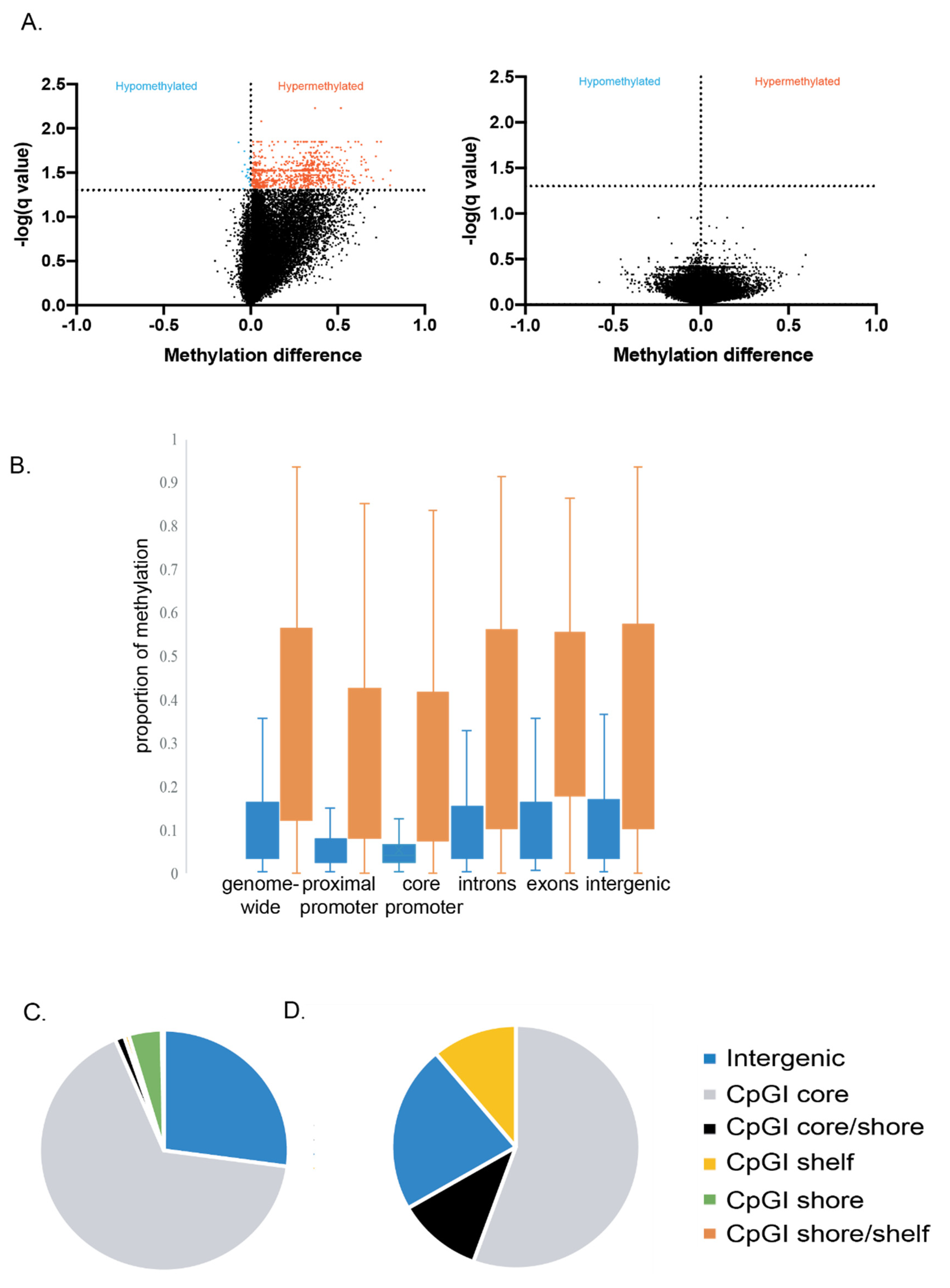 Viruses 13 02045 g002 Viruses 13 02045 g002