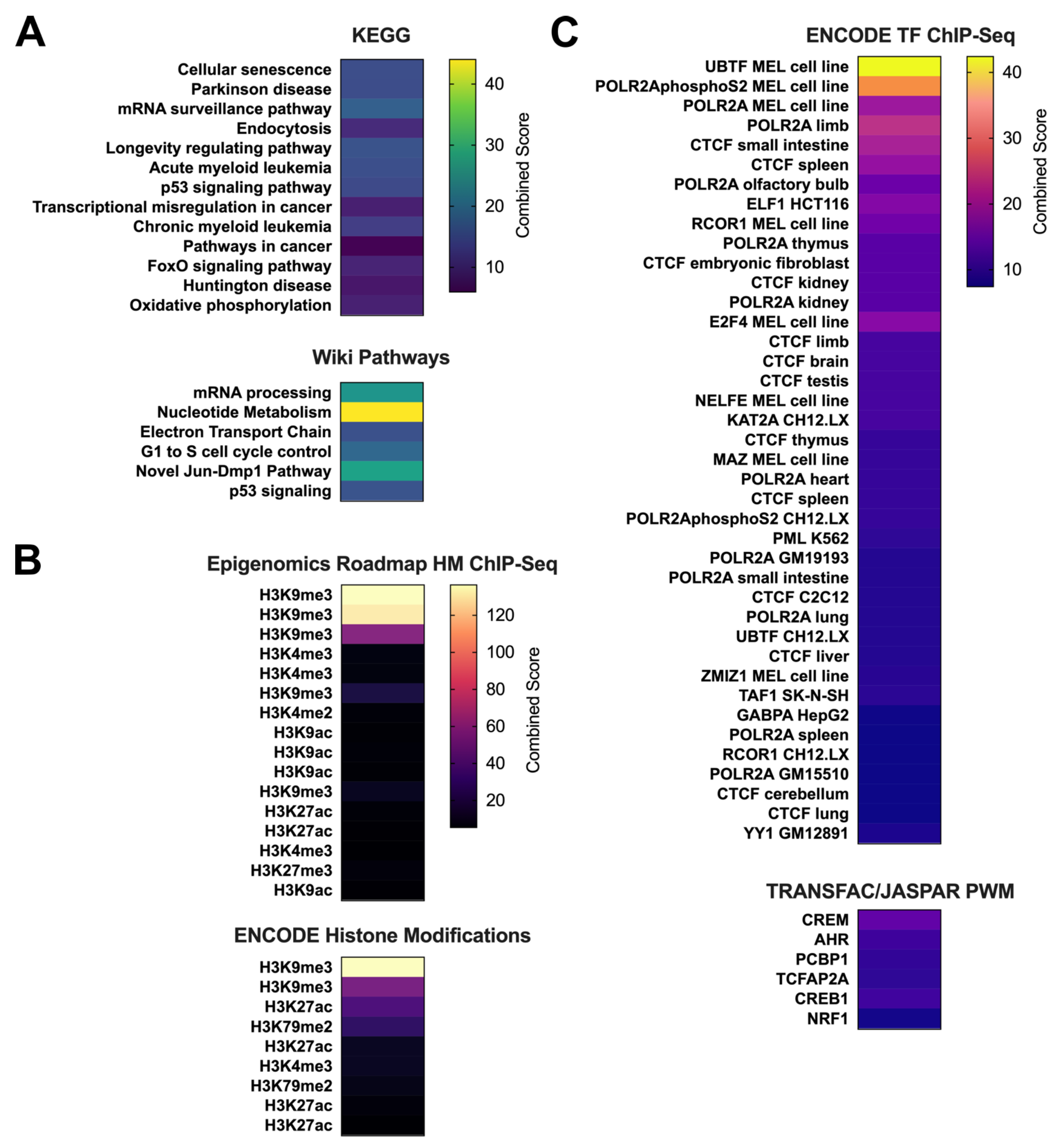 Viruses 13 02045 g004 Viruses 13 02045 g004