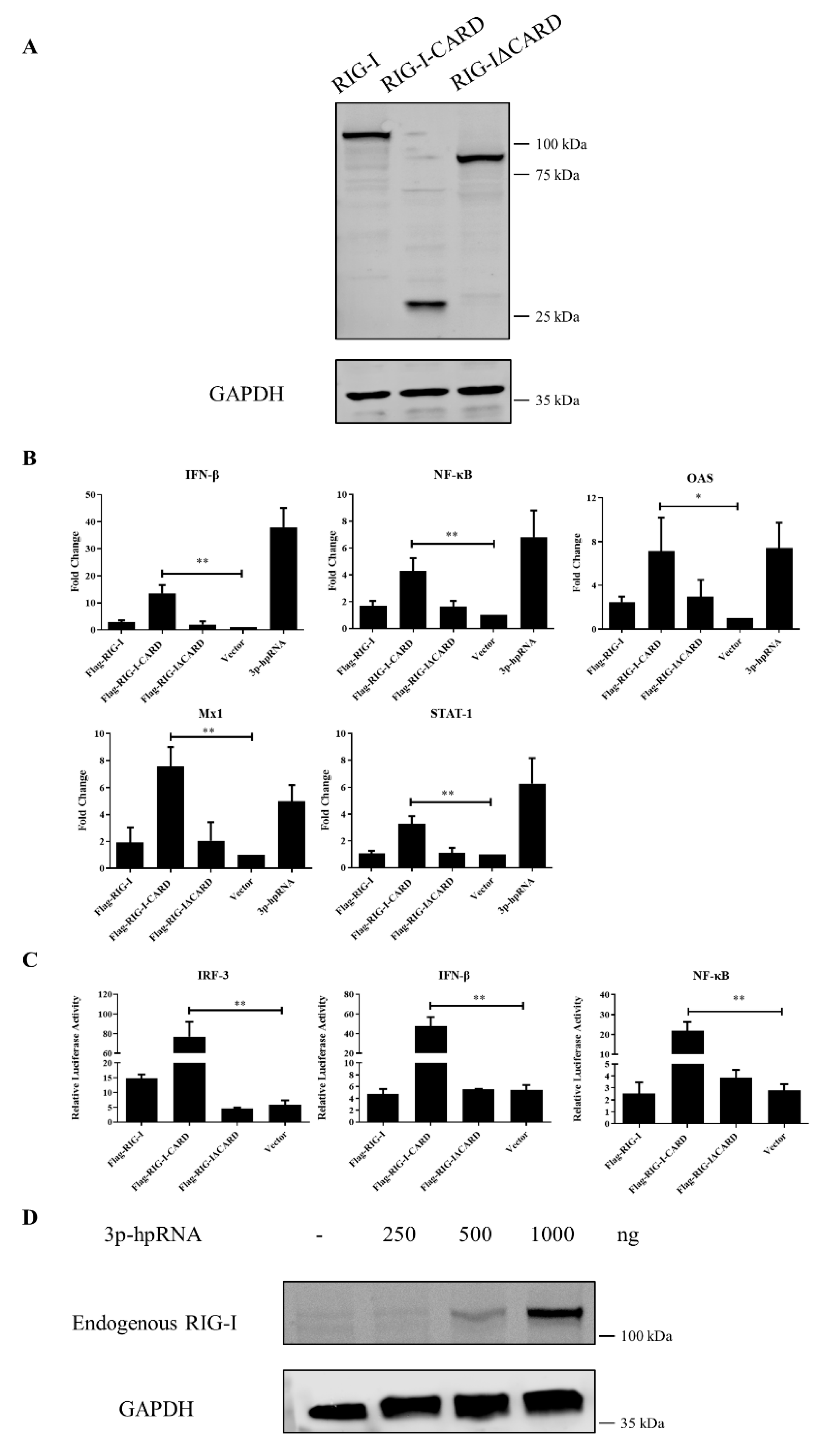 Viruses 13 02048 g003 Viruses 13 02048 g003