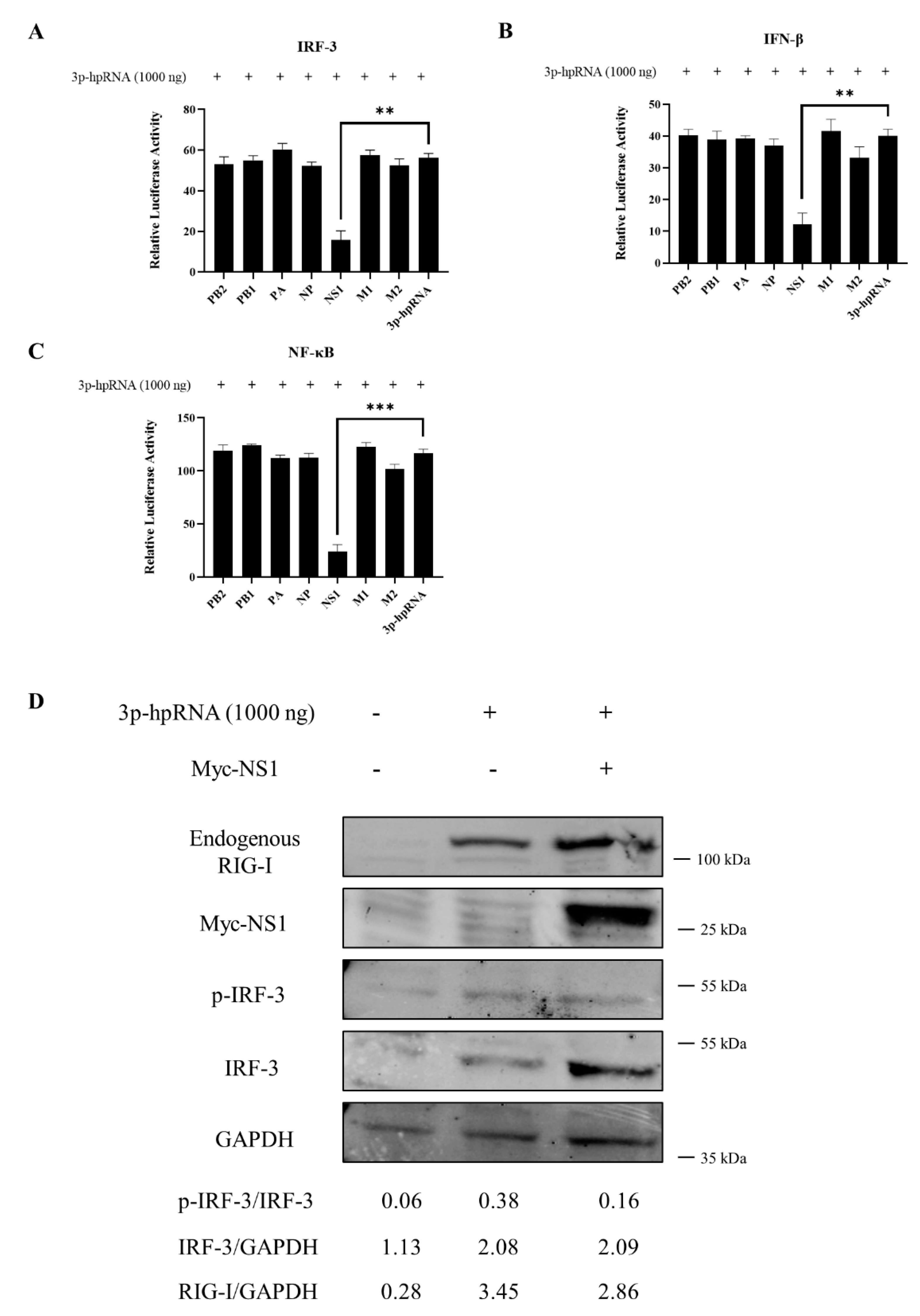 Viruses 13 02048 g006 Viruses 13 02048 g006