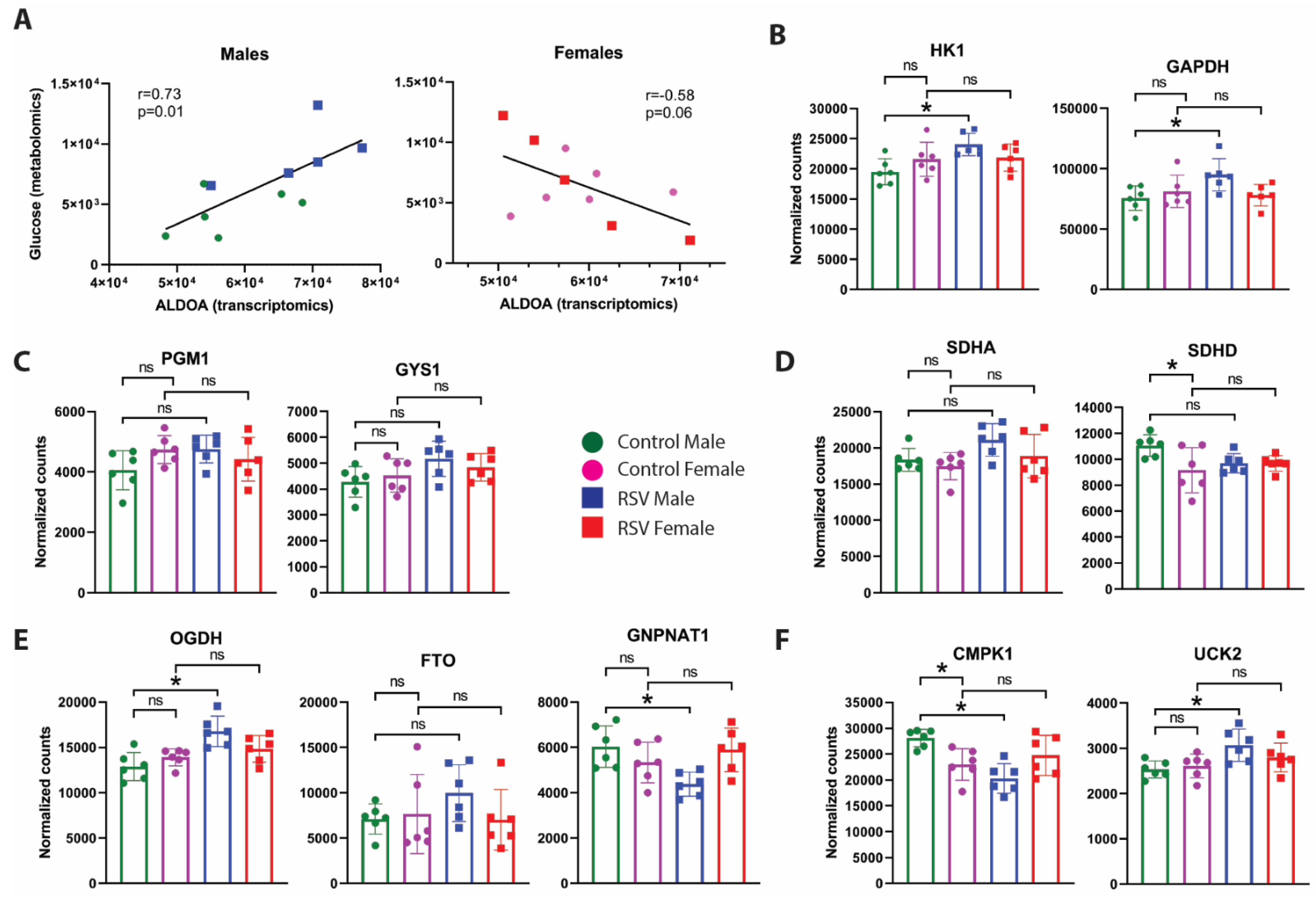 Viruses 13 02055 g004