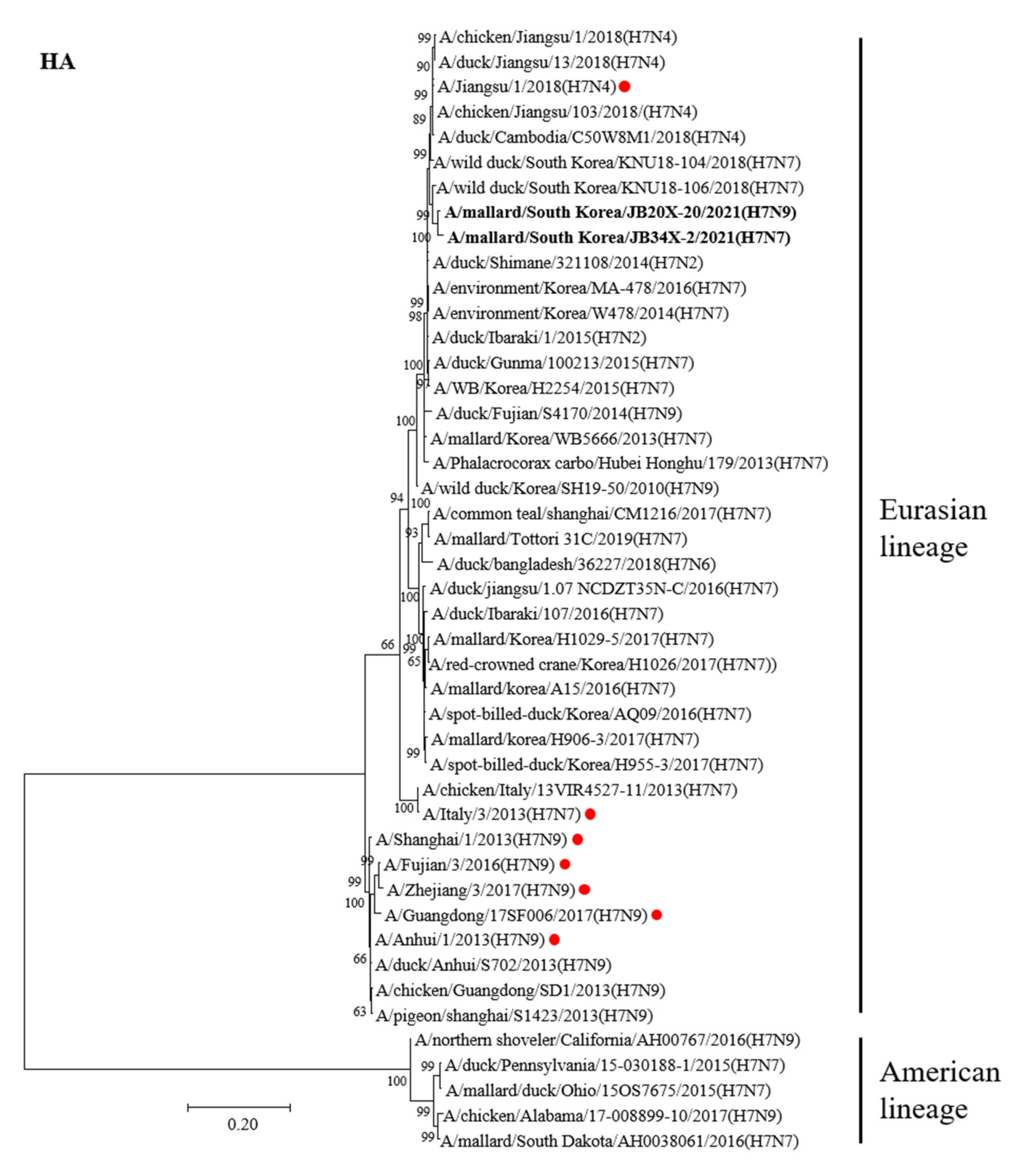 Viruses 13 02057 g001 550