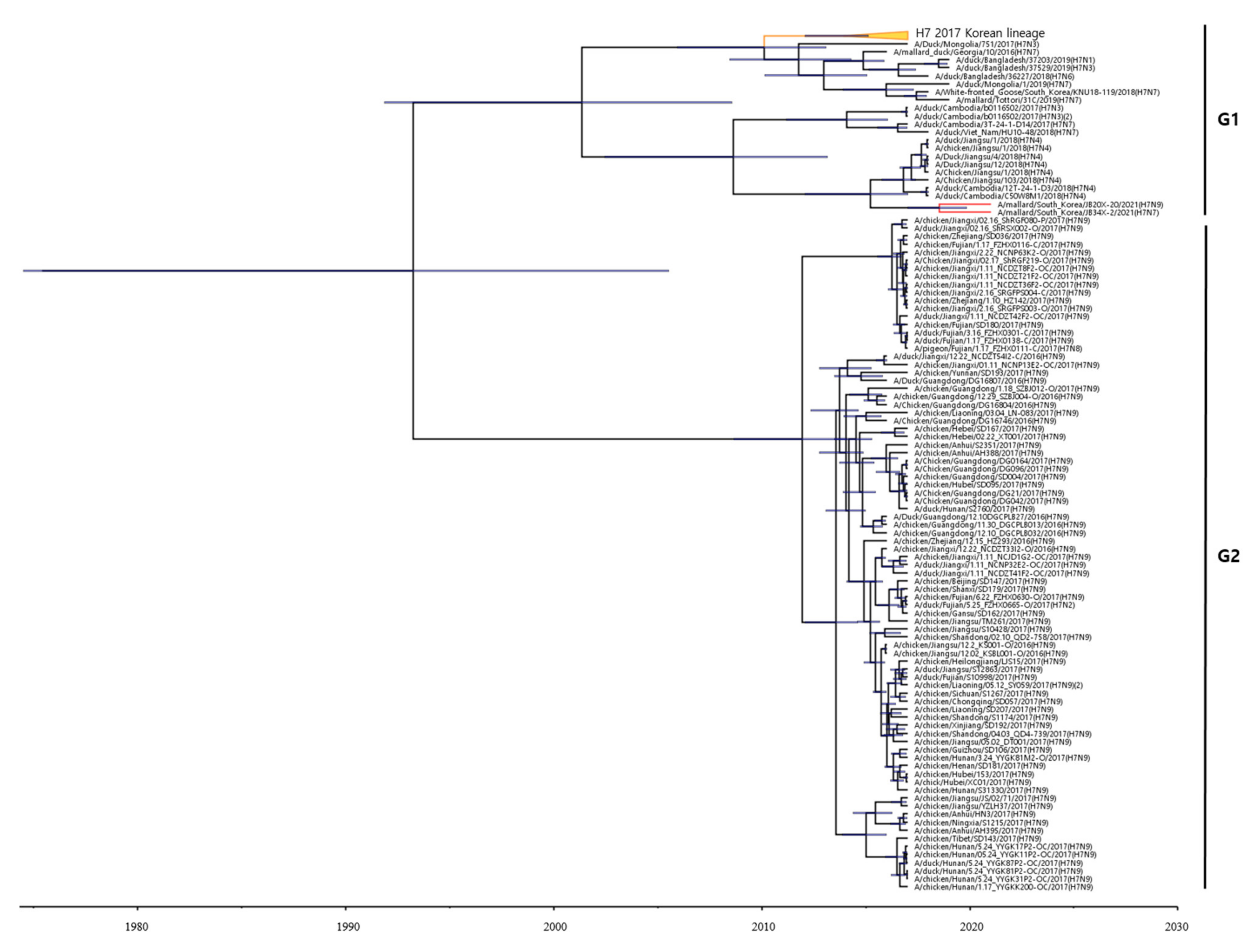 Viruses 13 02057 g002 550