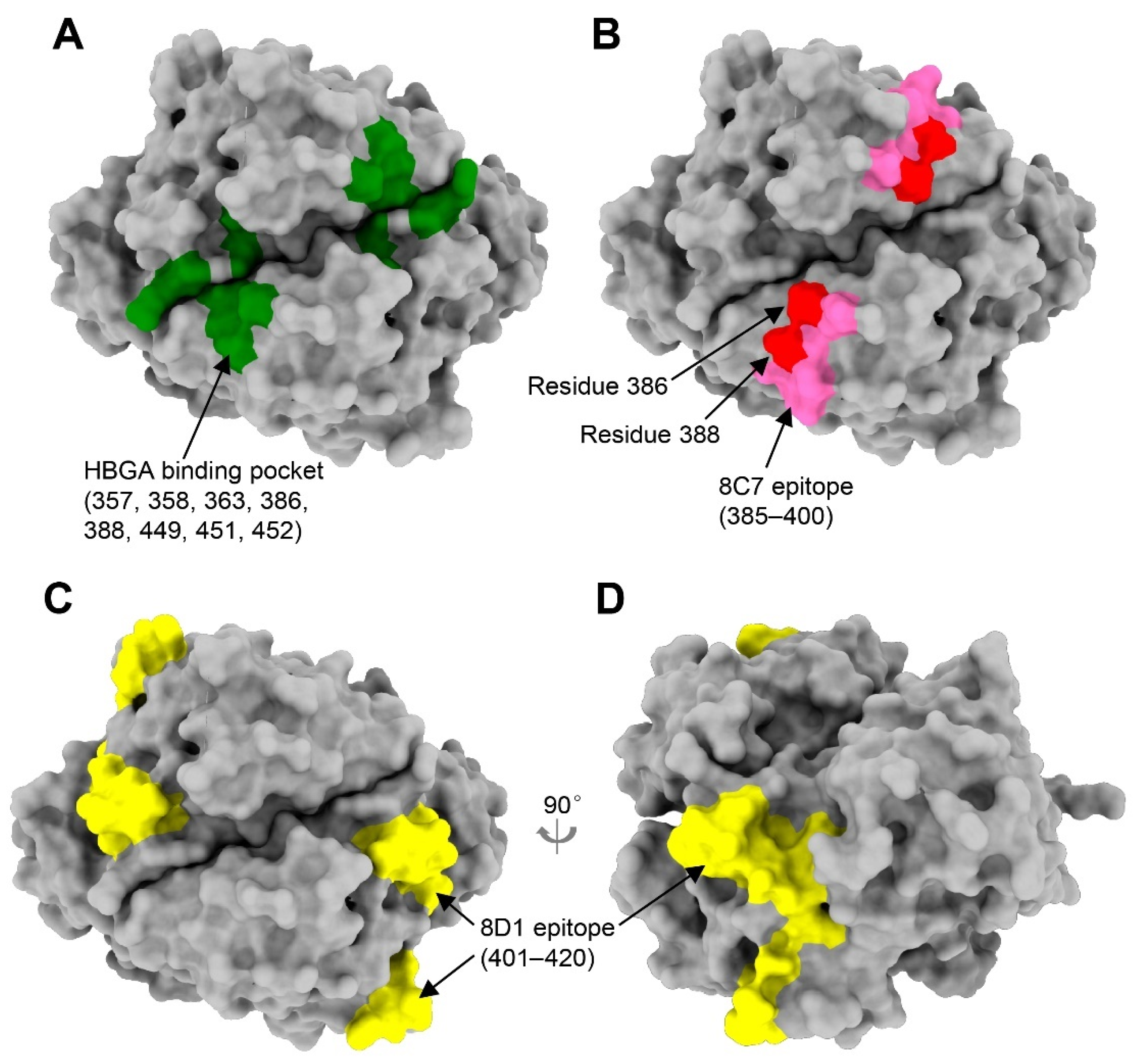 Viruses 13 02058 g006 550