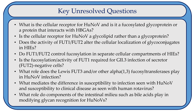 Viruses 13 02066 box001