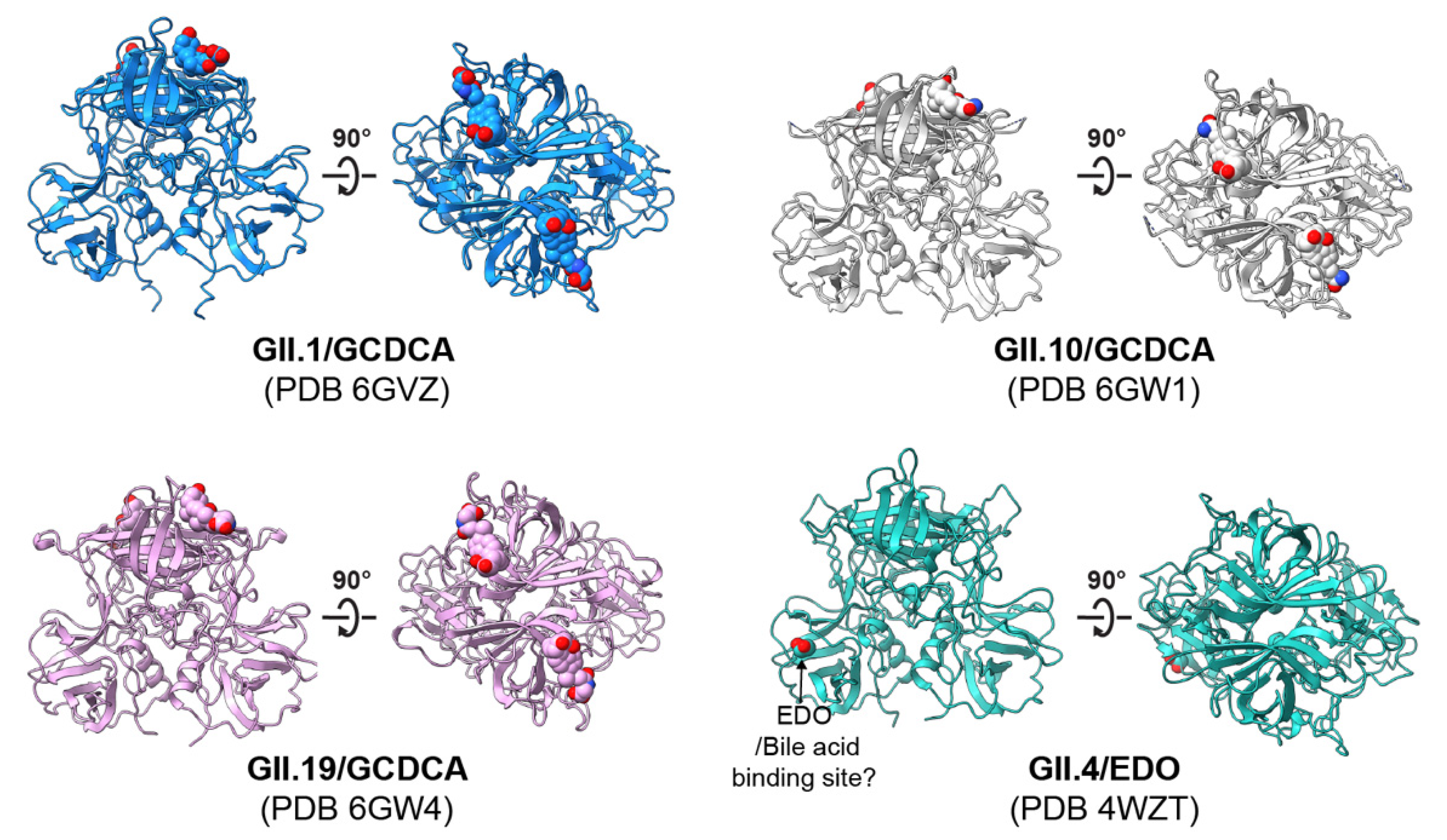 Viruses 13 02066 g003