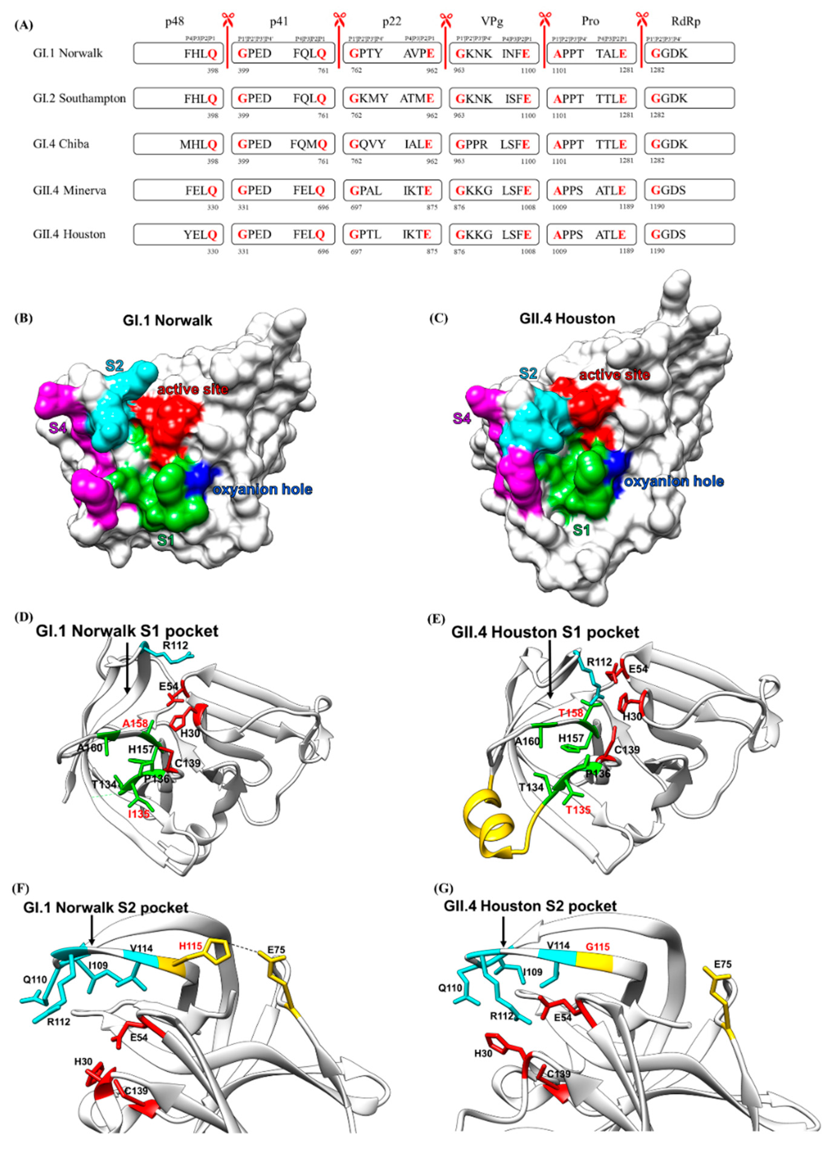 Viruses 13 02069 g004 Viruses 13 02069 g004