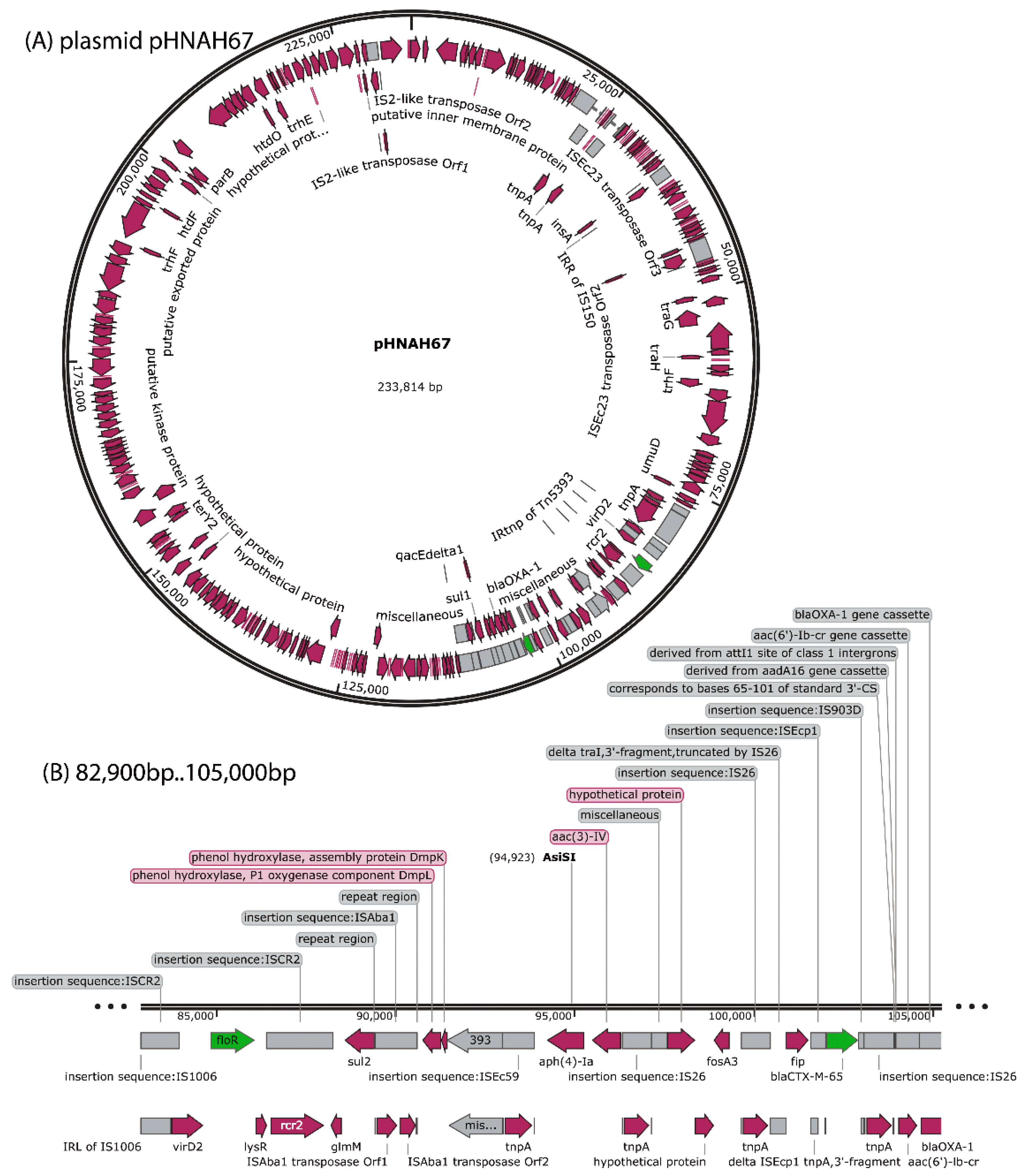 Viruses 13 02070 g001