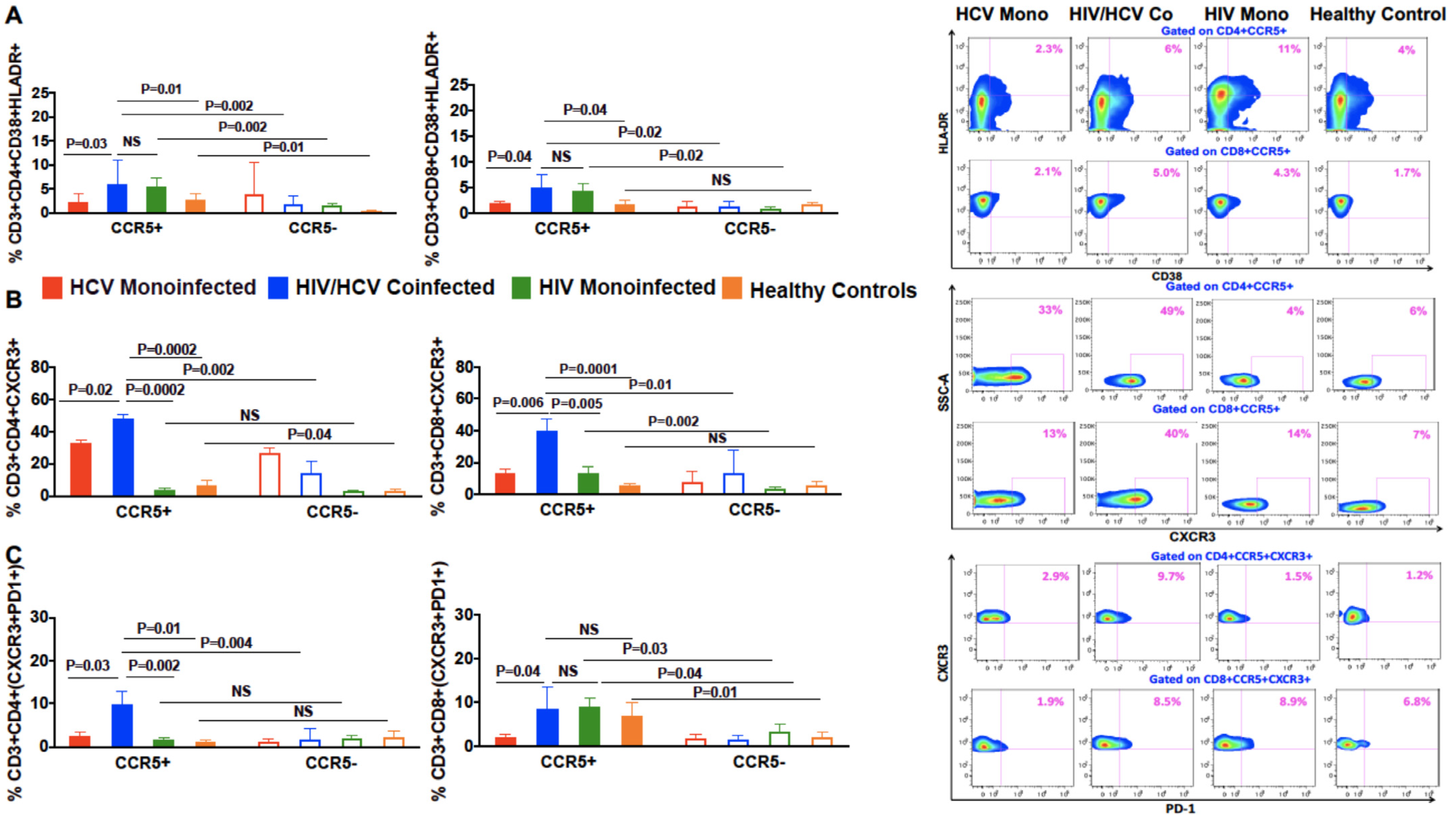 Viruses 13 02074 g002