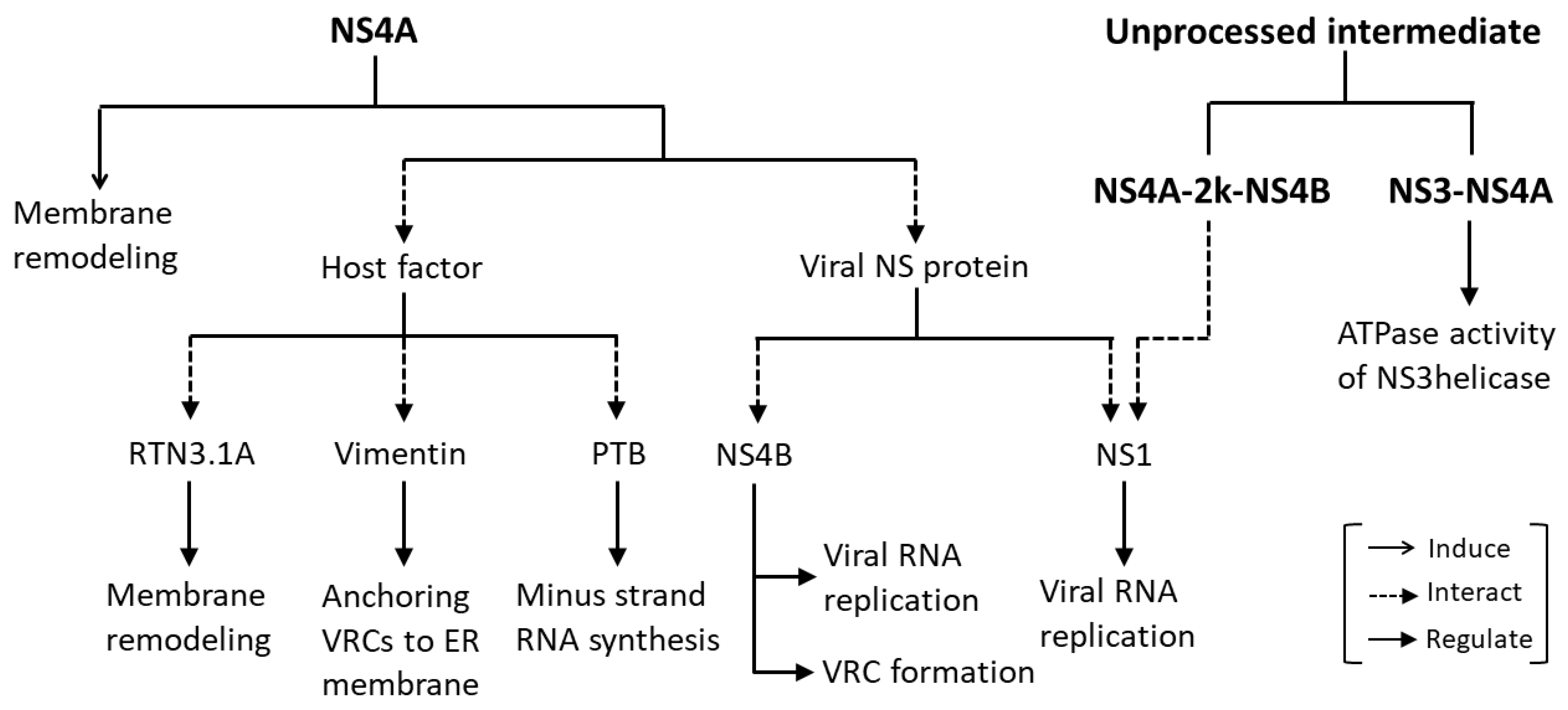 Viruses 13 02077 g002 Viruses 13 02077 g002