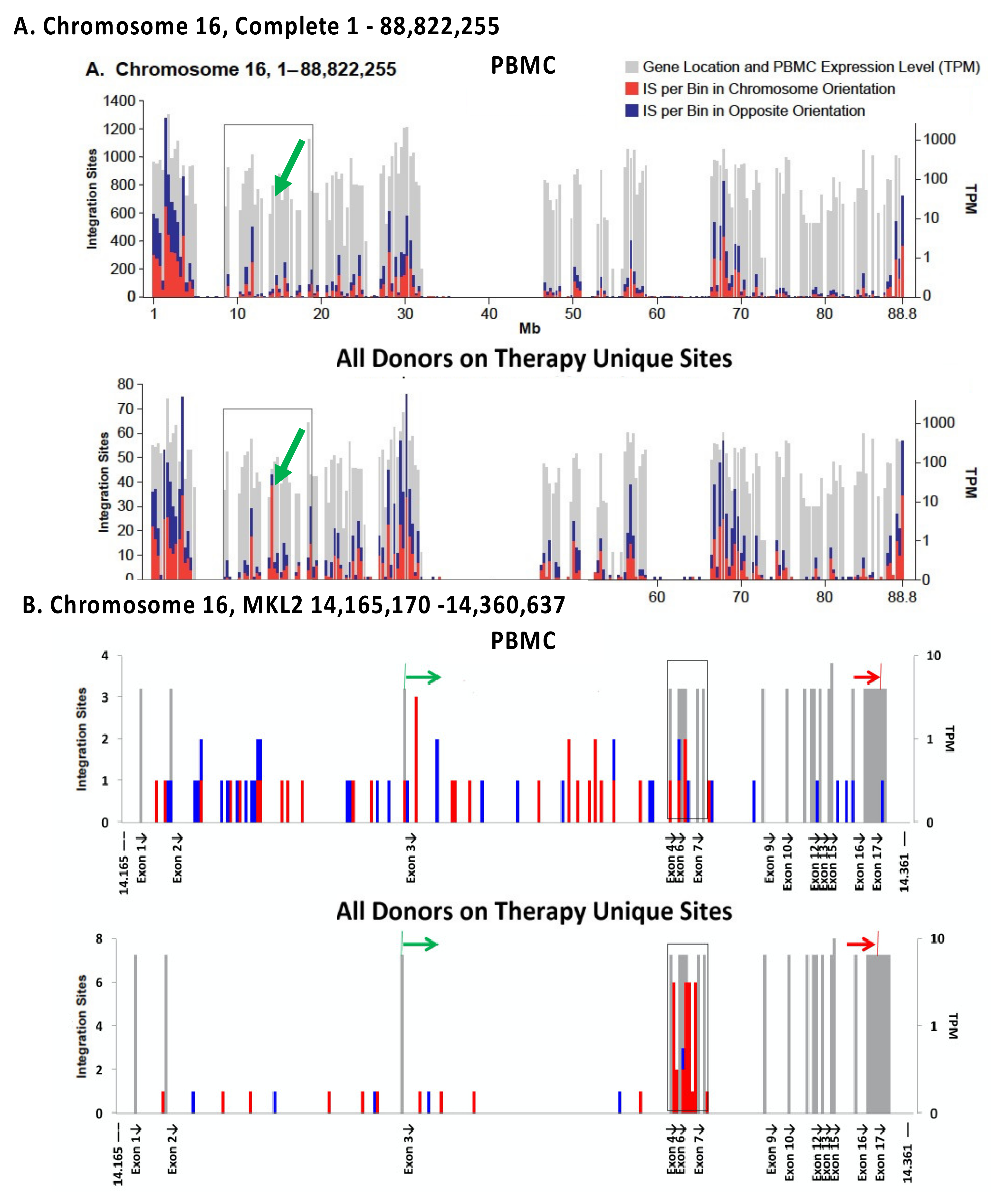 Viruses 13 02078 g005 550