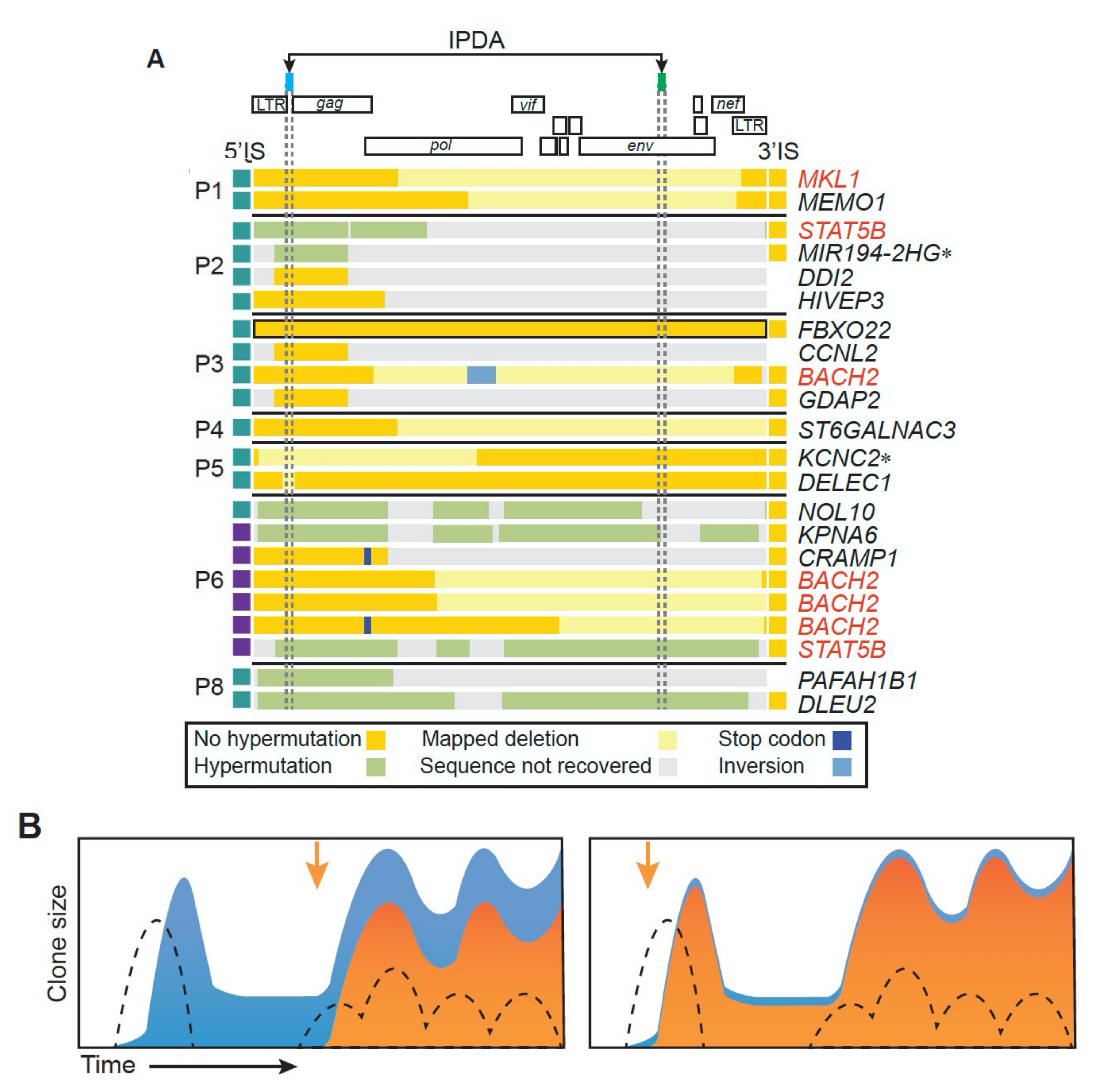 Viruses 13 02078 g007 550