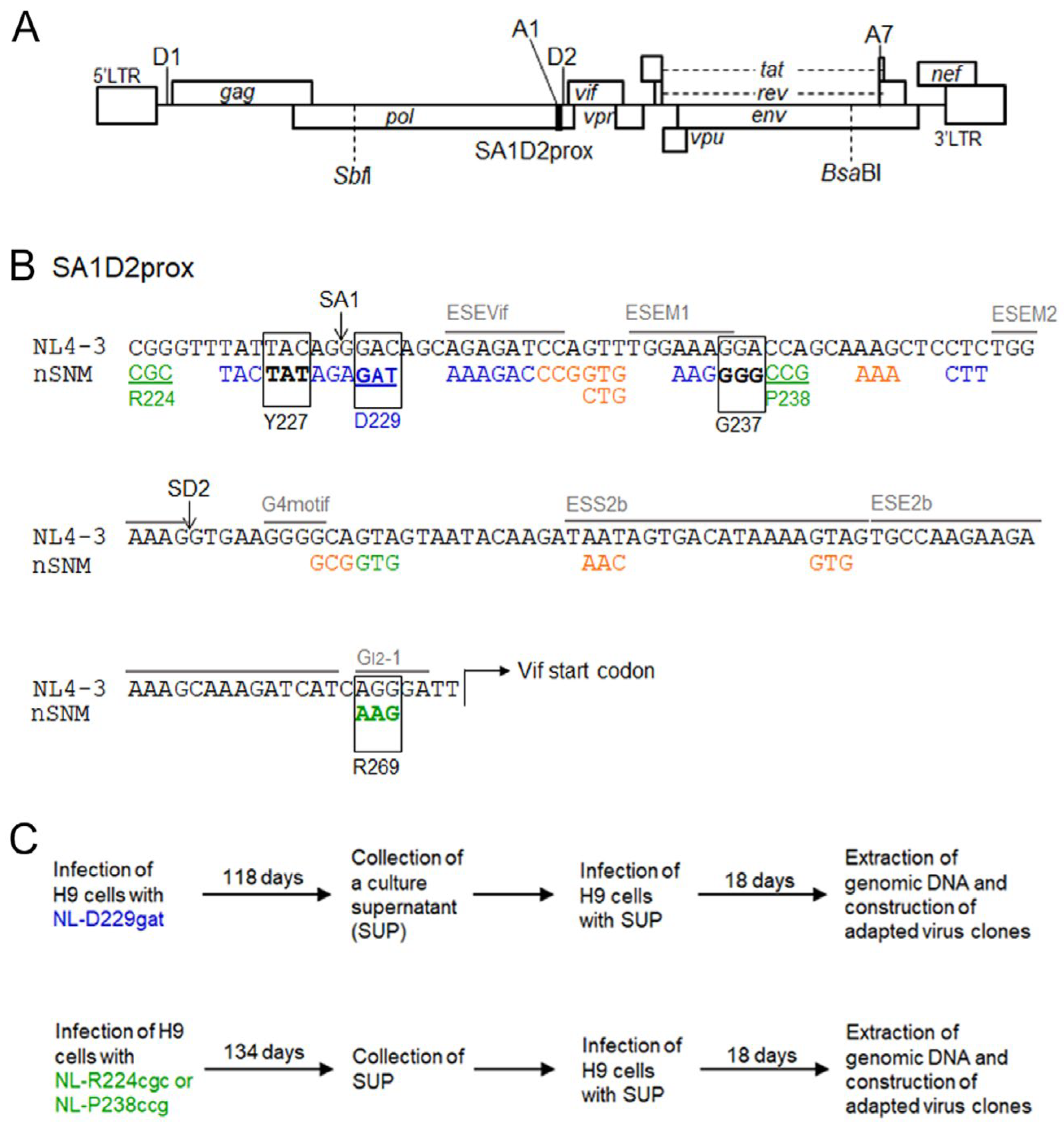 Viruses 13 02079 g001 Viruses 13 02079 g001