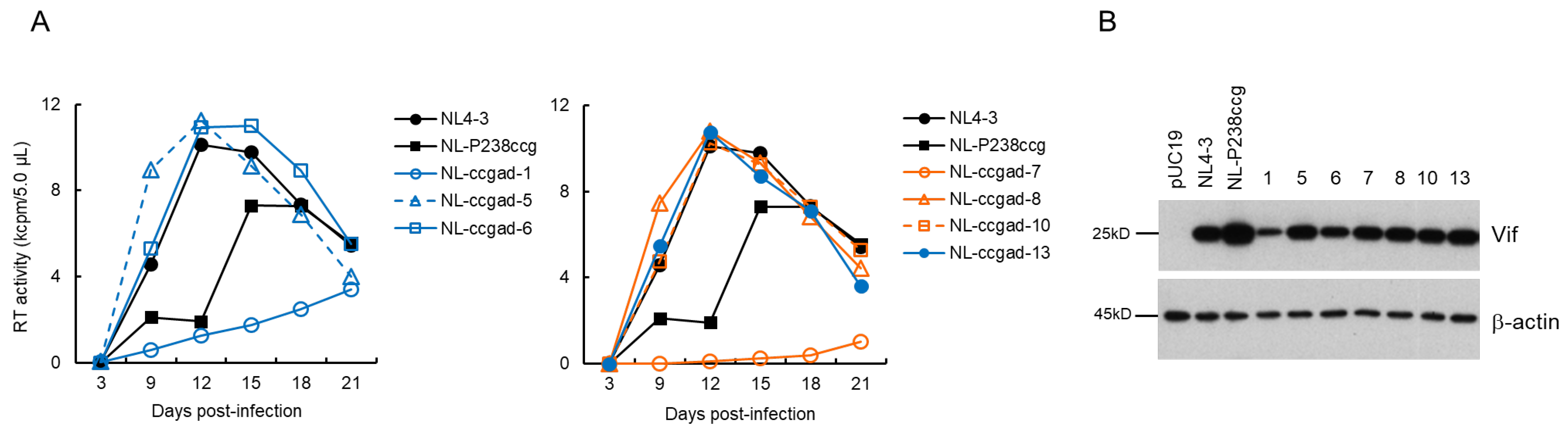 Viruses 13 02079 g005 Viruses 13 02079 g005