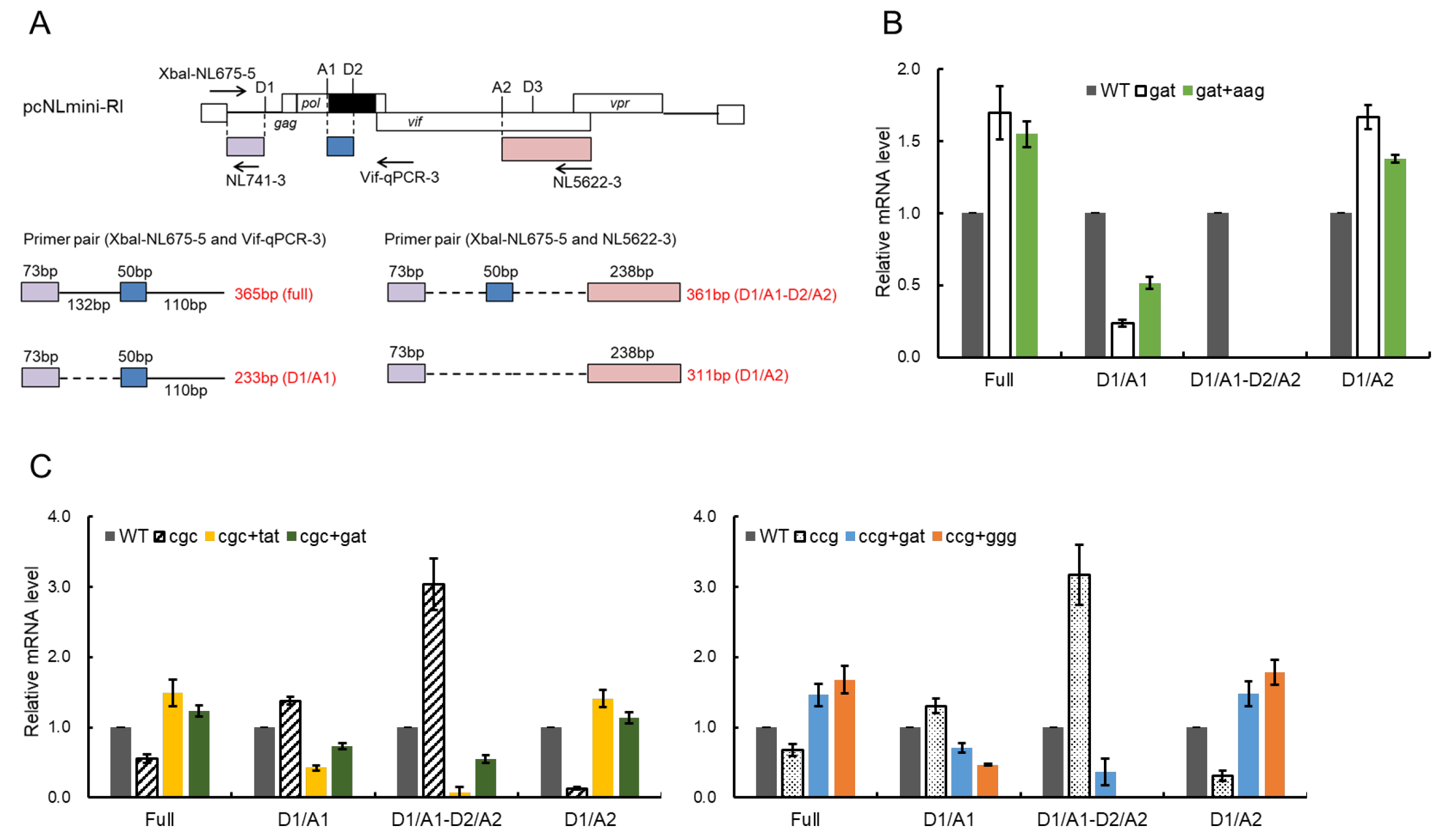 Viruses 13 02079 g008 Viruses 13 02079 g008