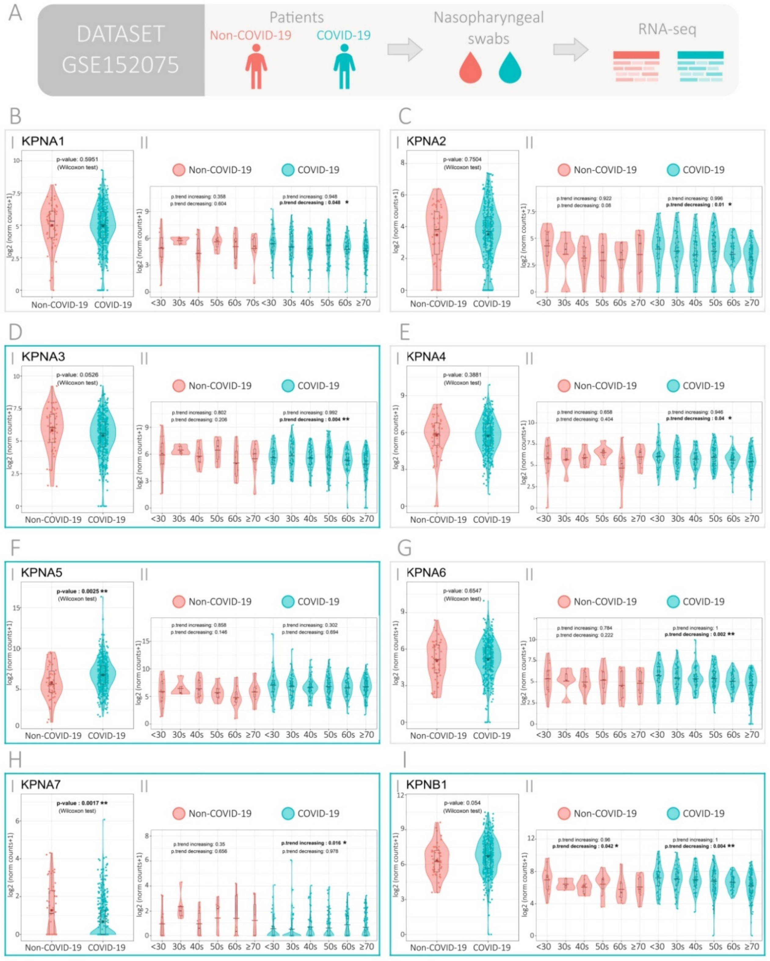 Viruses 13 02084 g001