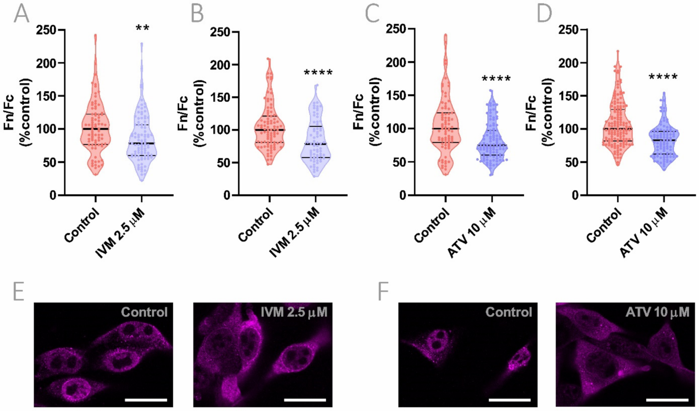 Viruses 13 02084 g004