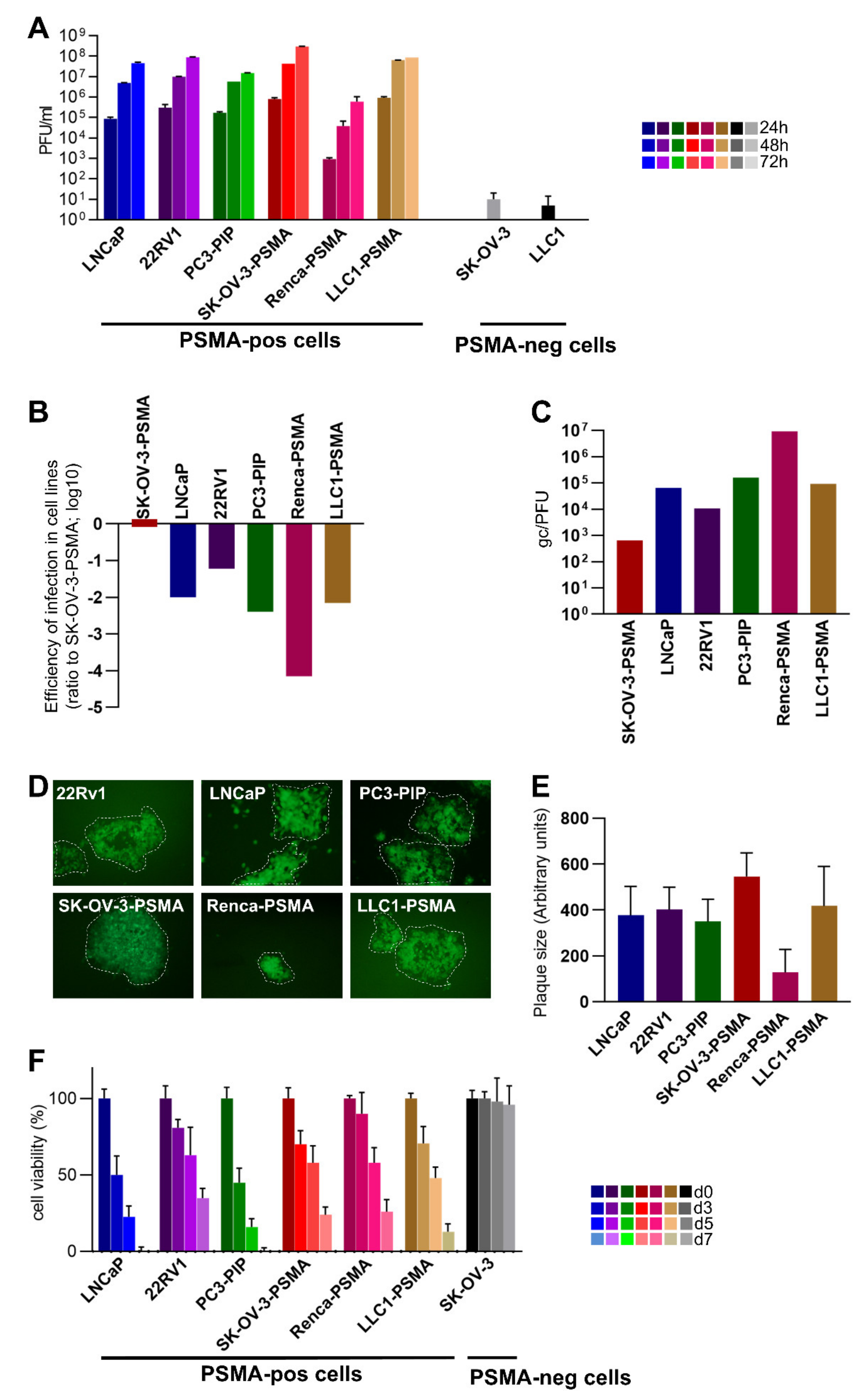 Viruses 13 02085 g002