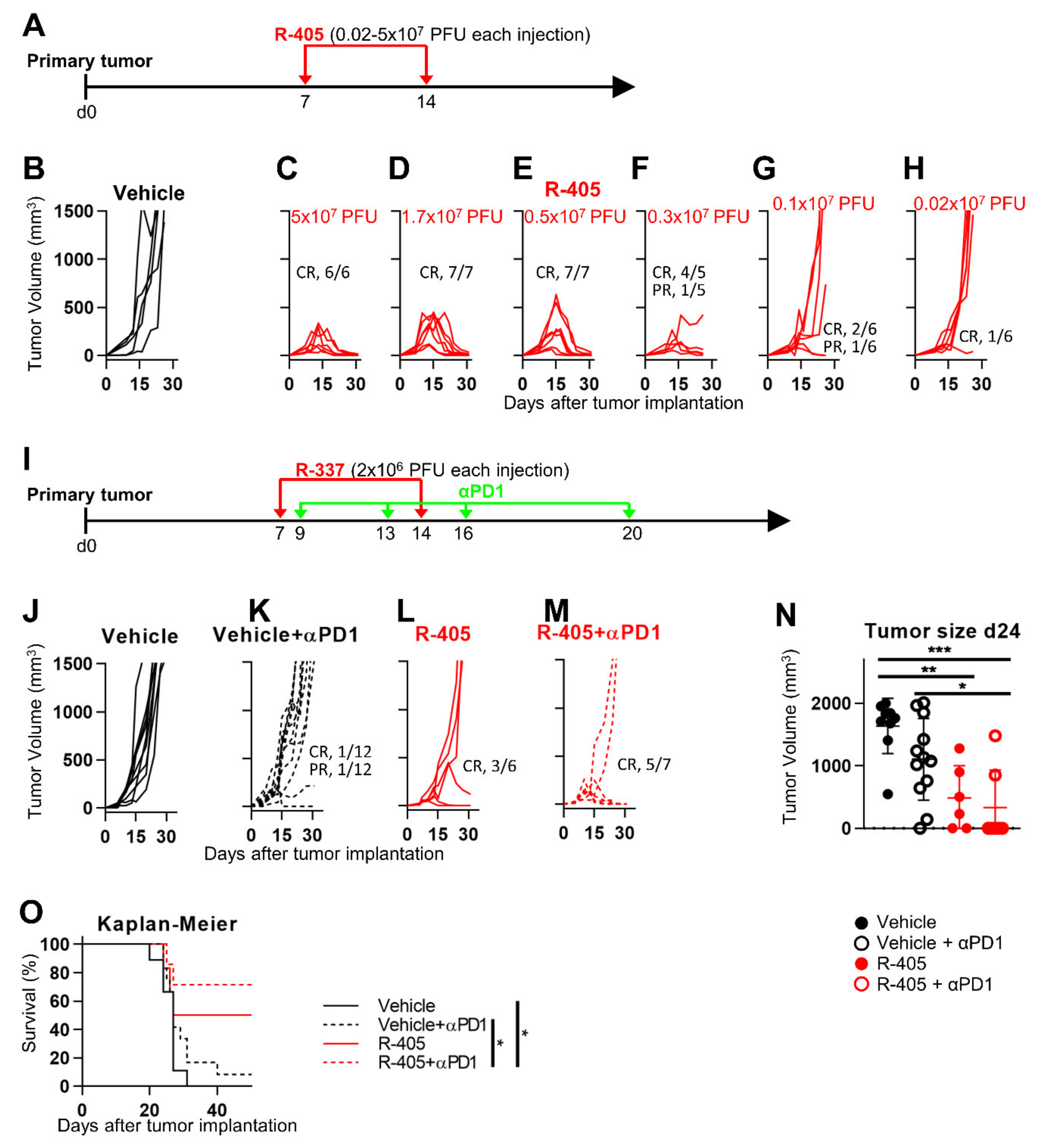 Viruses 13 02085 g005