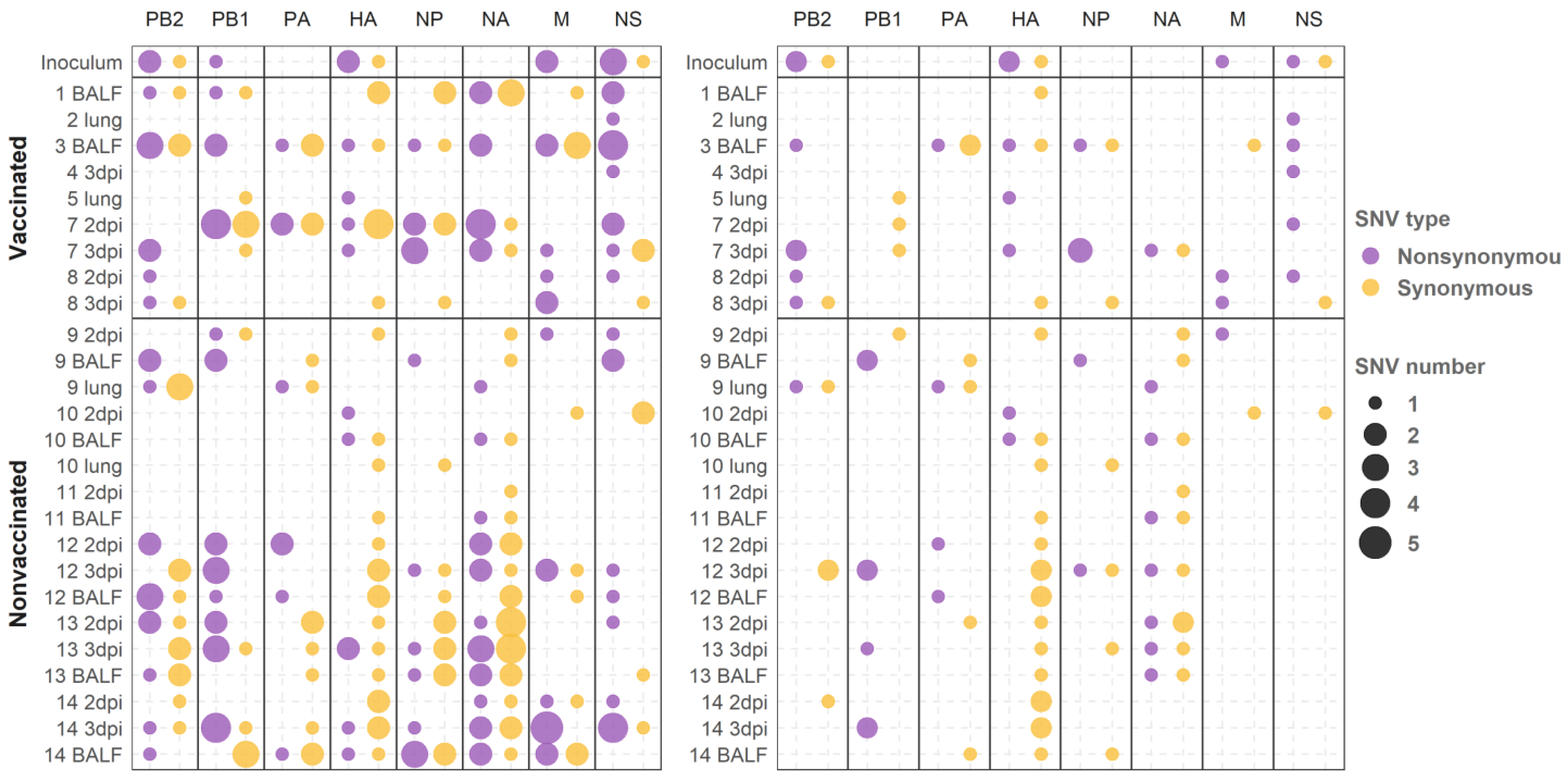 Viruses 13 02087 g004