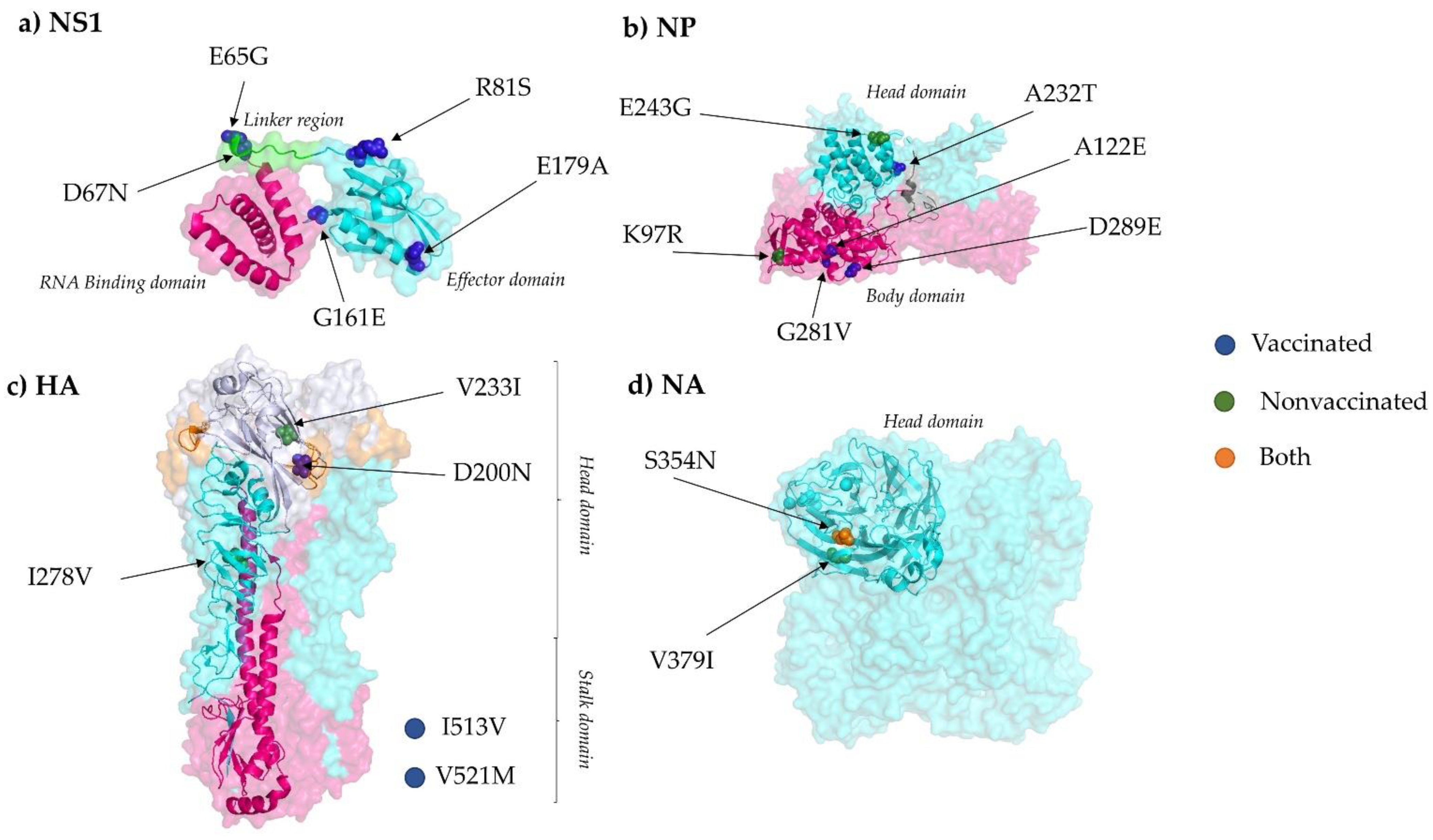 Viruses 13 02087 g006