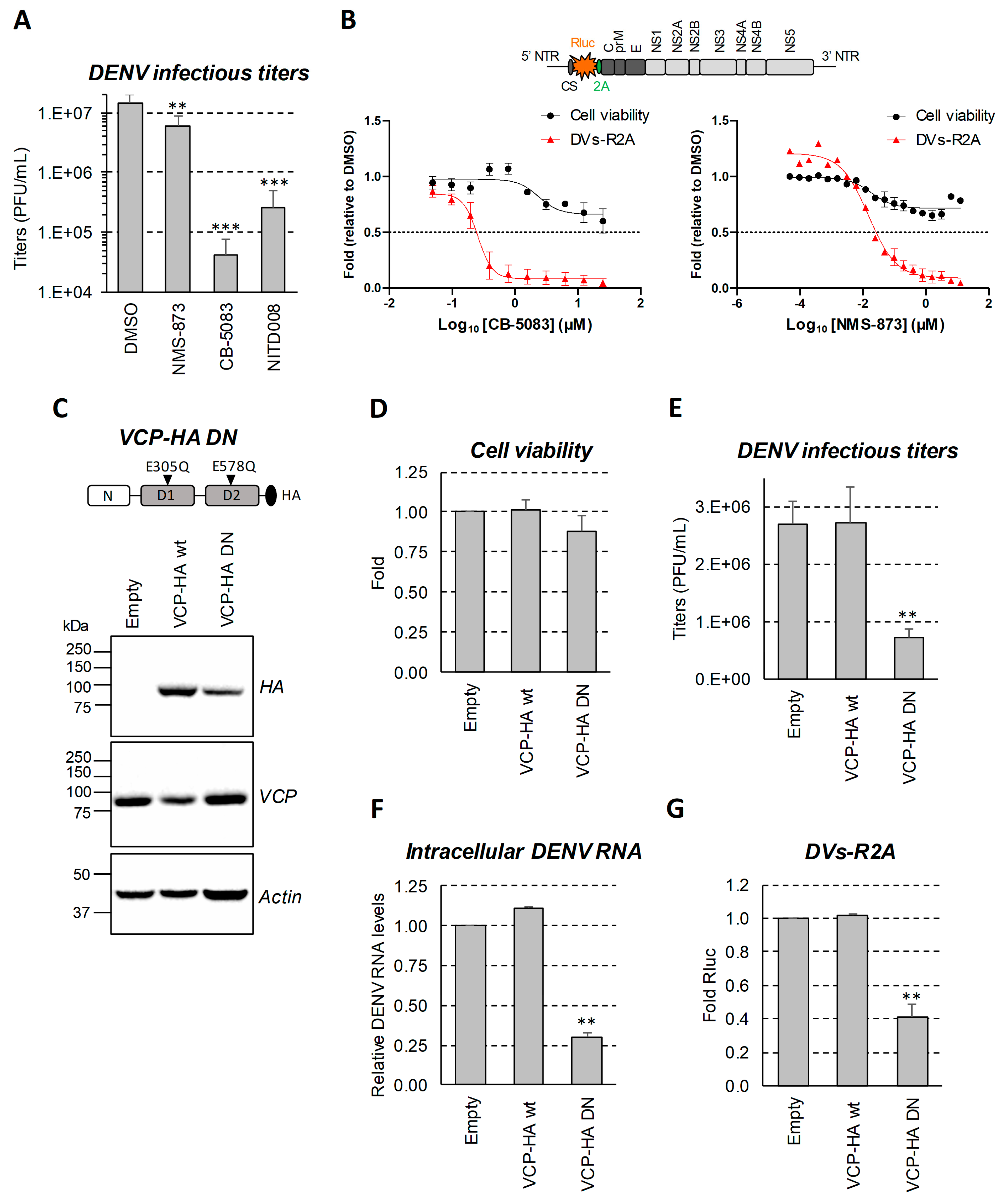 Viruses 13 02092 g001