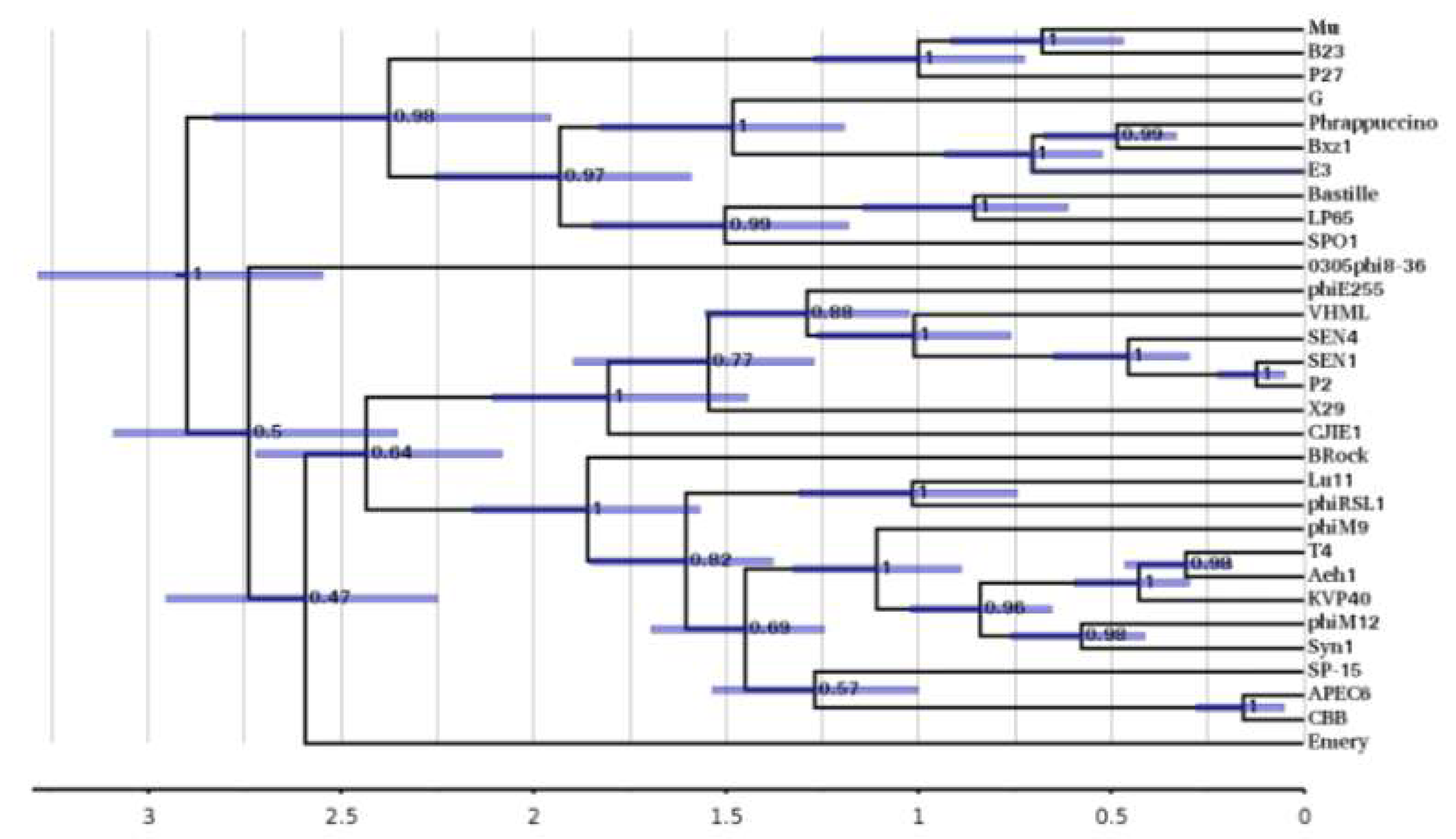 Viruses 13 02094 g009