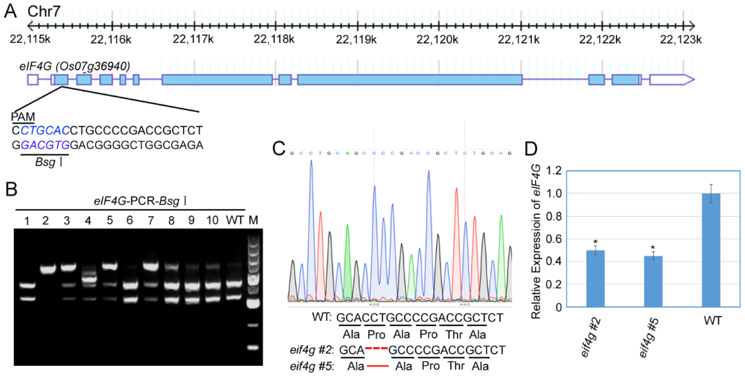 Viruses 13 02100 g001