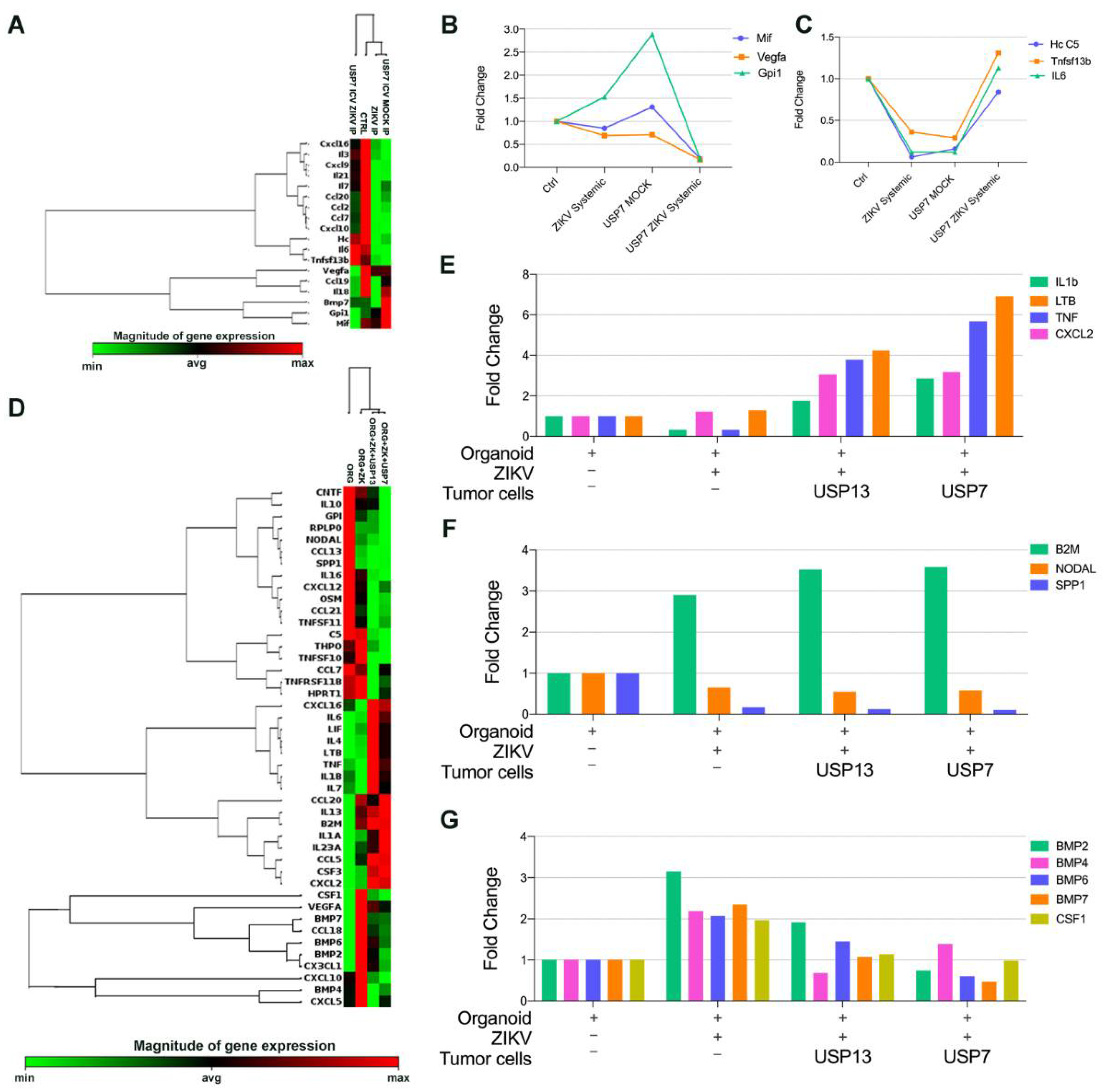 Viruses 13 02103 g005