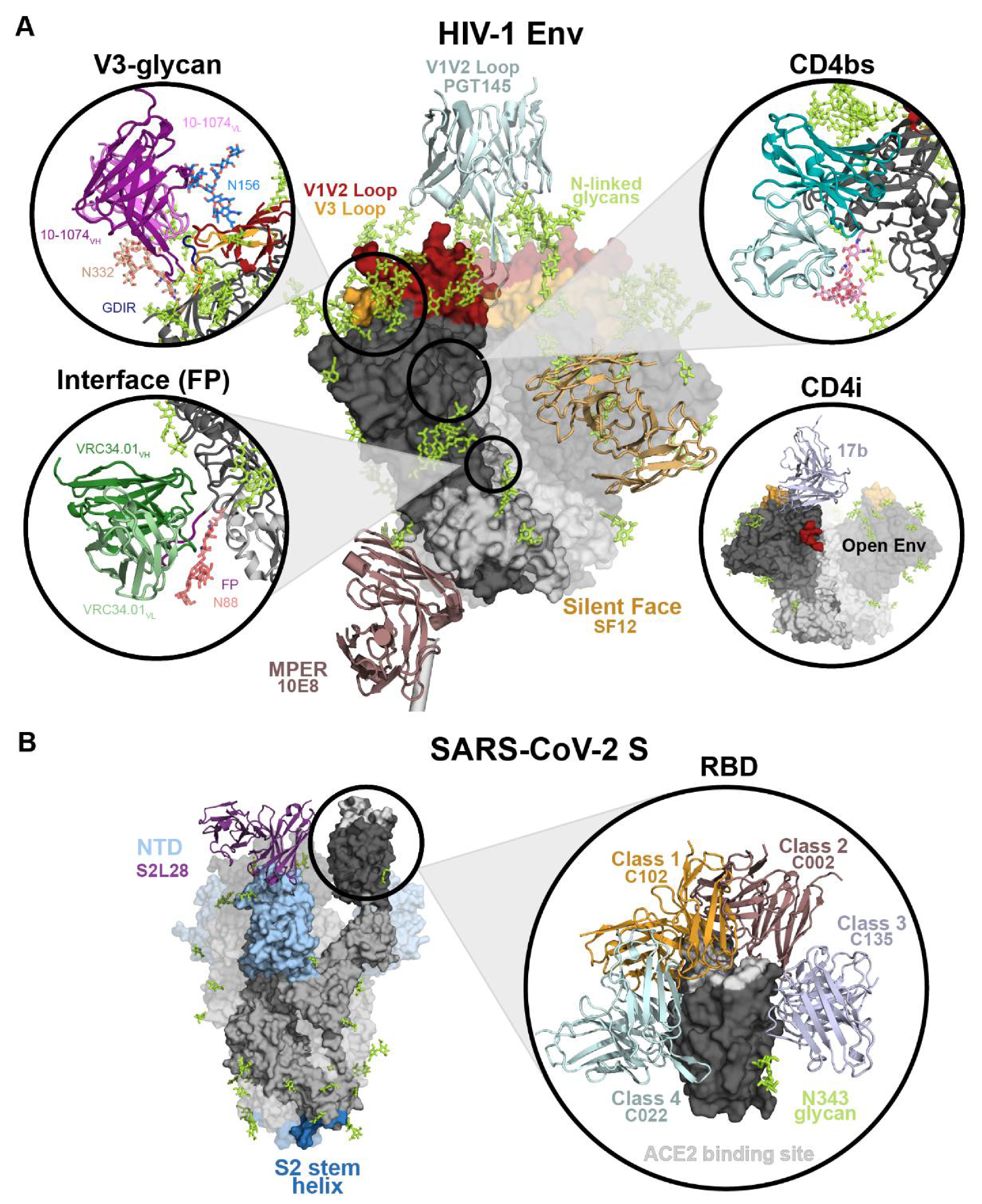 Viruses 13 02106 g004