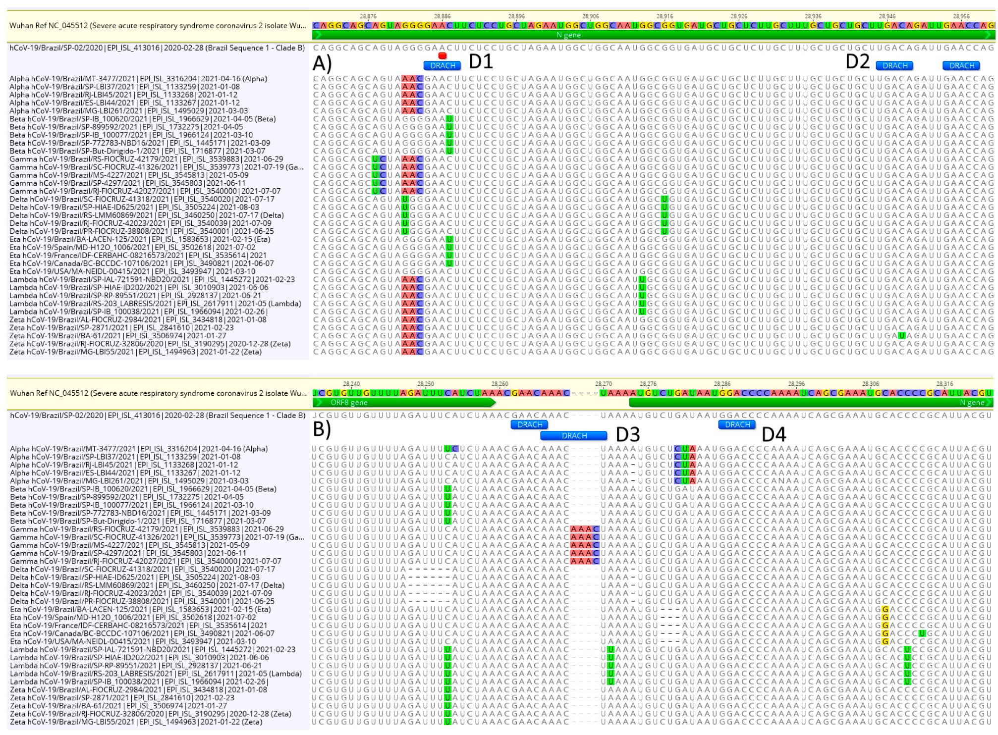 Viruses 13 02108 g002 550