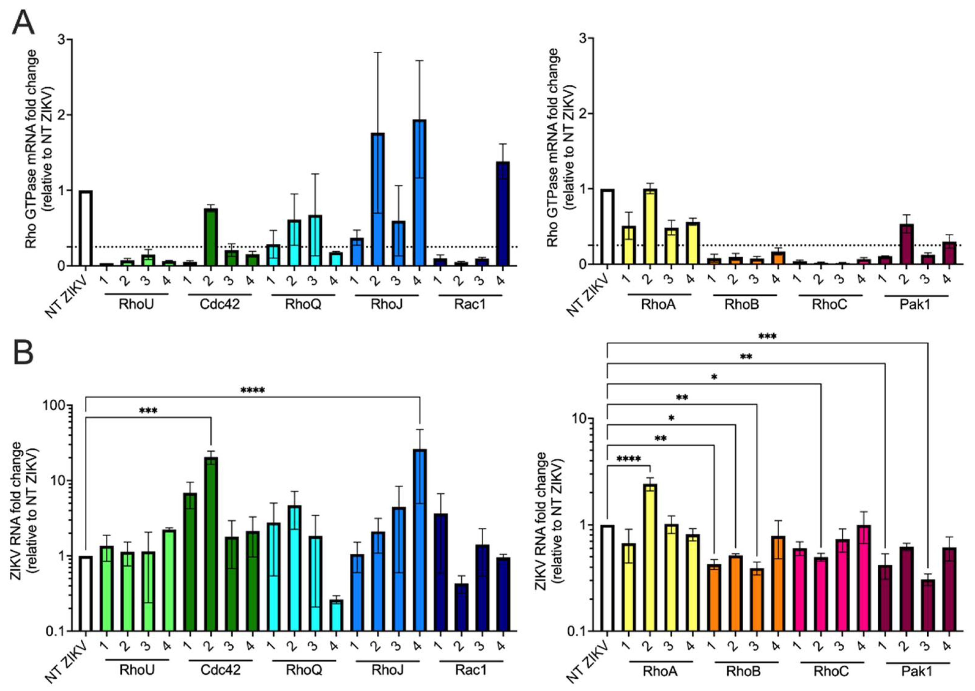 Viruses 13 02113 g006 Viruses 13 02113 g006